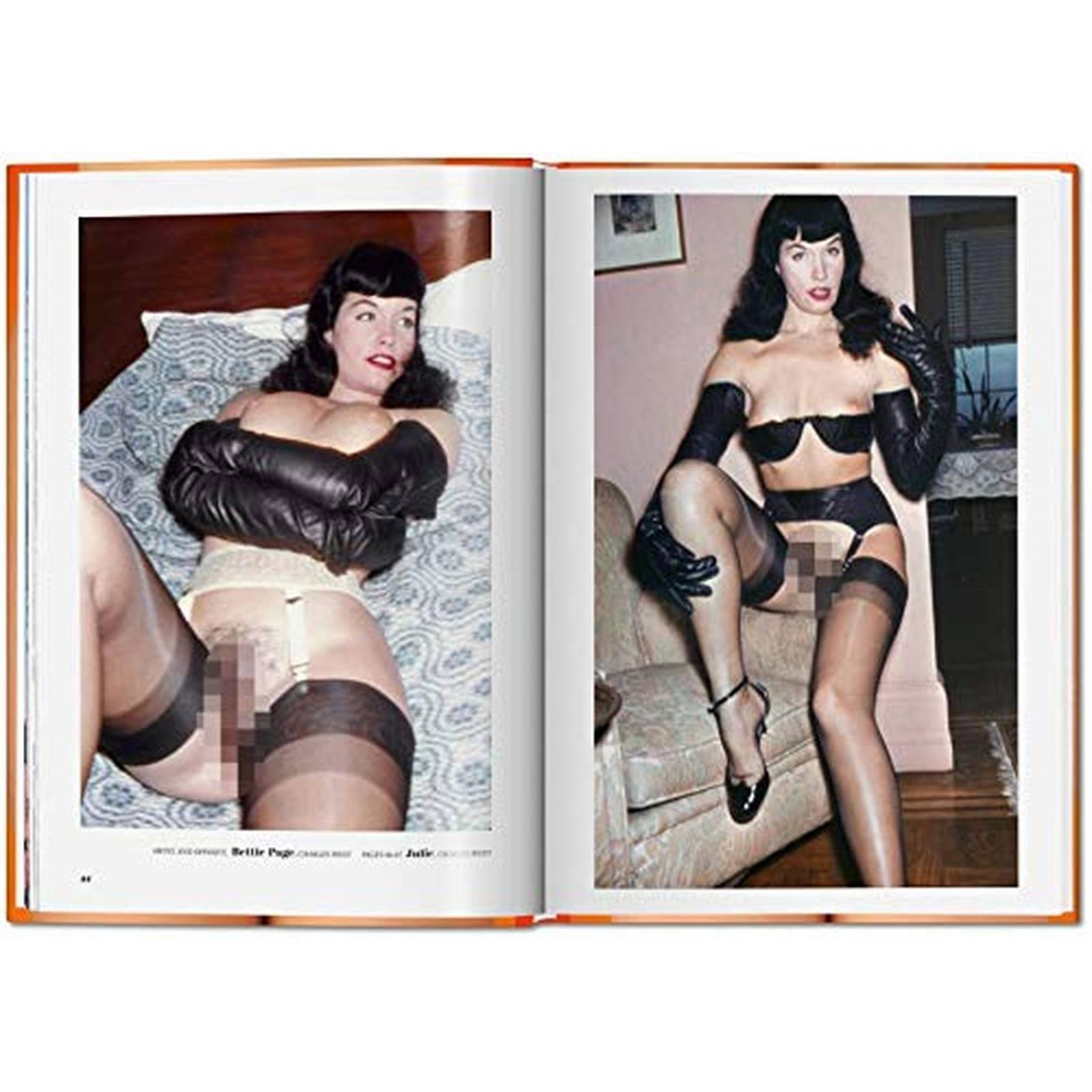 The Little Big Book of Pussy - (Libro en Inglés)