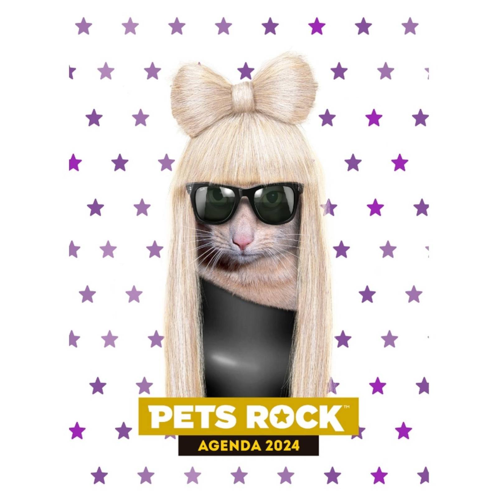 Agenda Pets Rock 2024 Missy Blanca