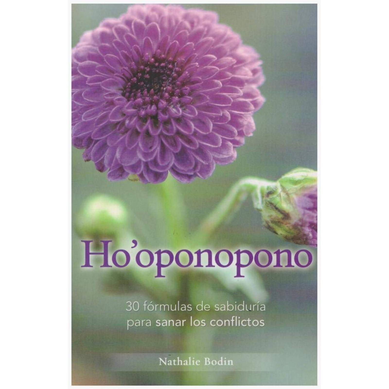 Ho'Ponopono. 30 Fórmulas de Sabiduría 