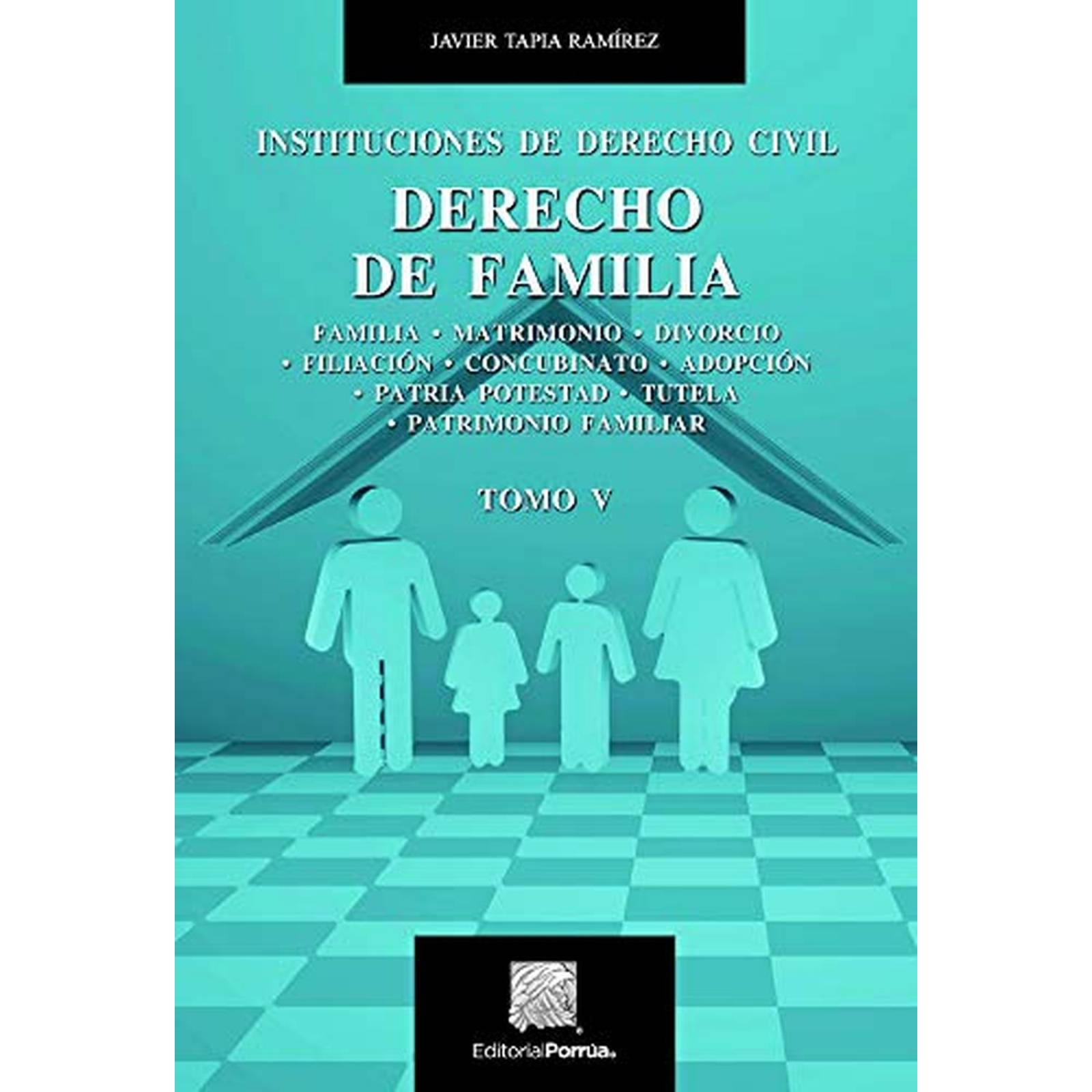 Instituciones De Derecho Civil Tomo V Derecho De Familia 2008