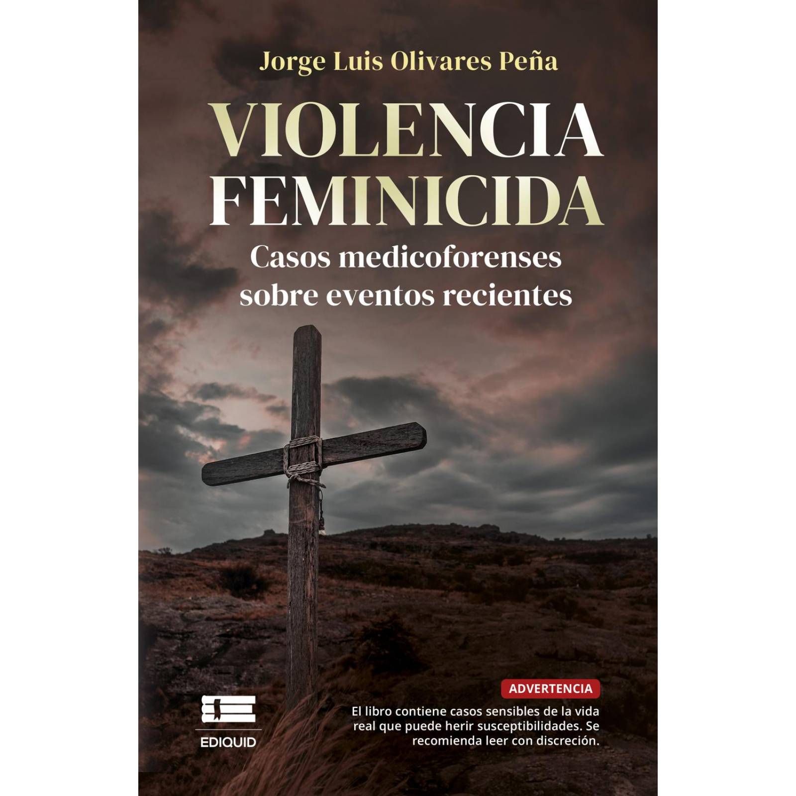 Violencia Feminicida 