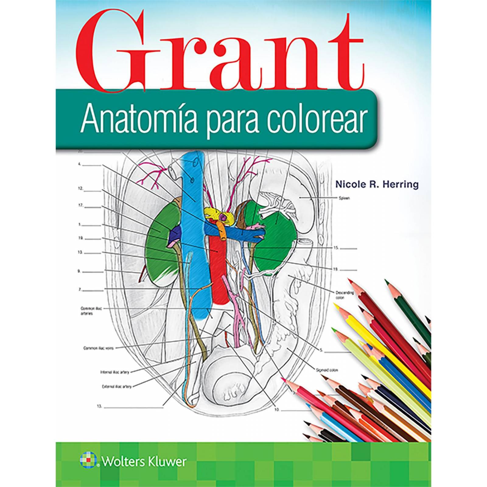 Grant. Anatomía para colorear