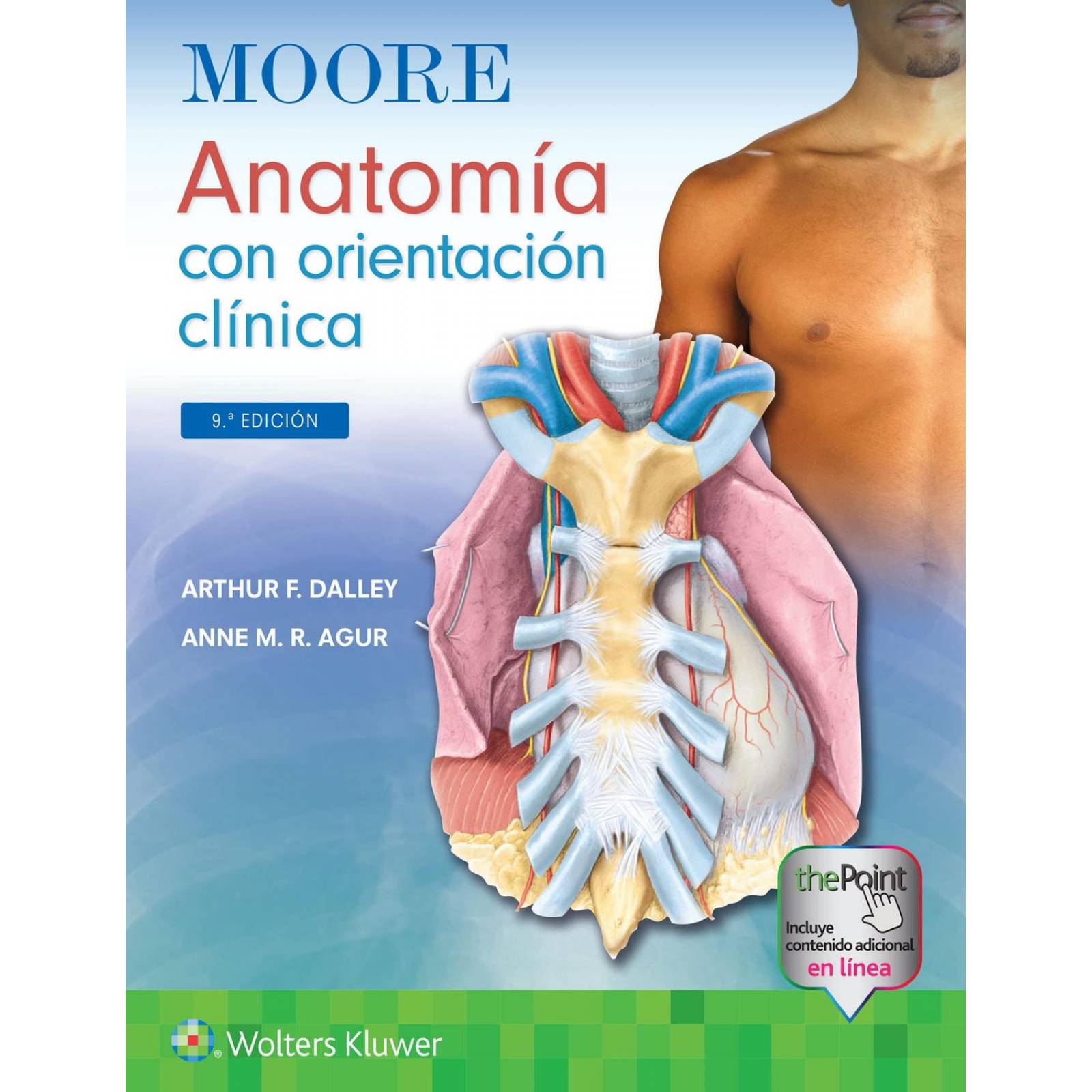 Moore. Anatomía con orientación clínica 