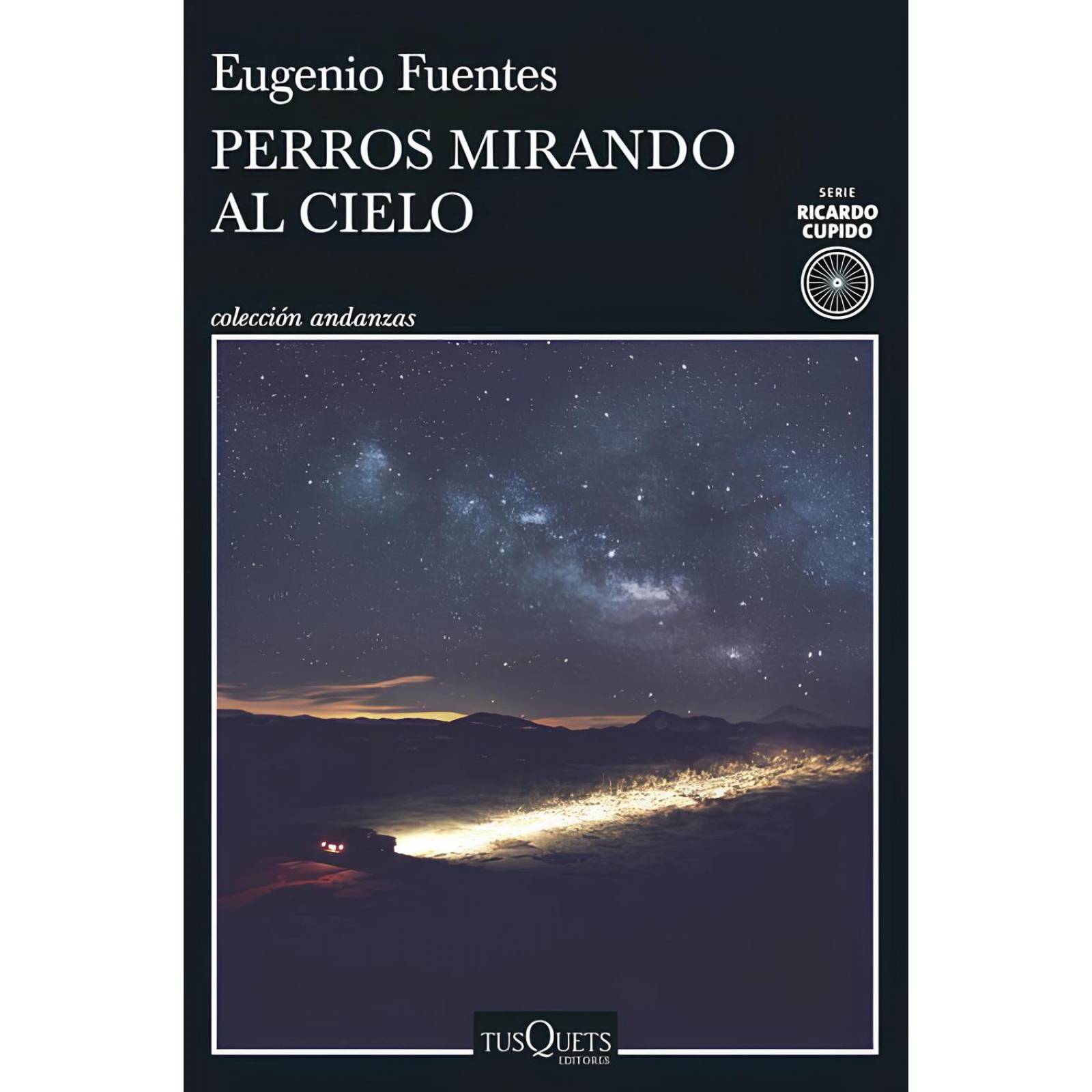 Perros mirando al cielo 