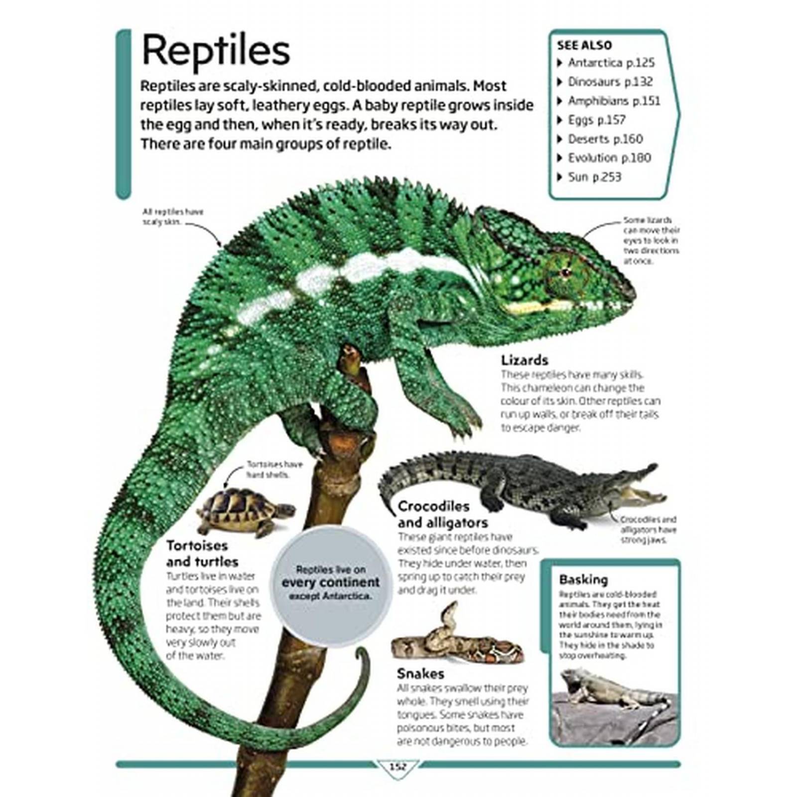 DK Children's Encyclopedia: The Book That Explains Everything! (Libro en Inglés) 