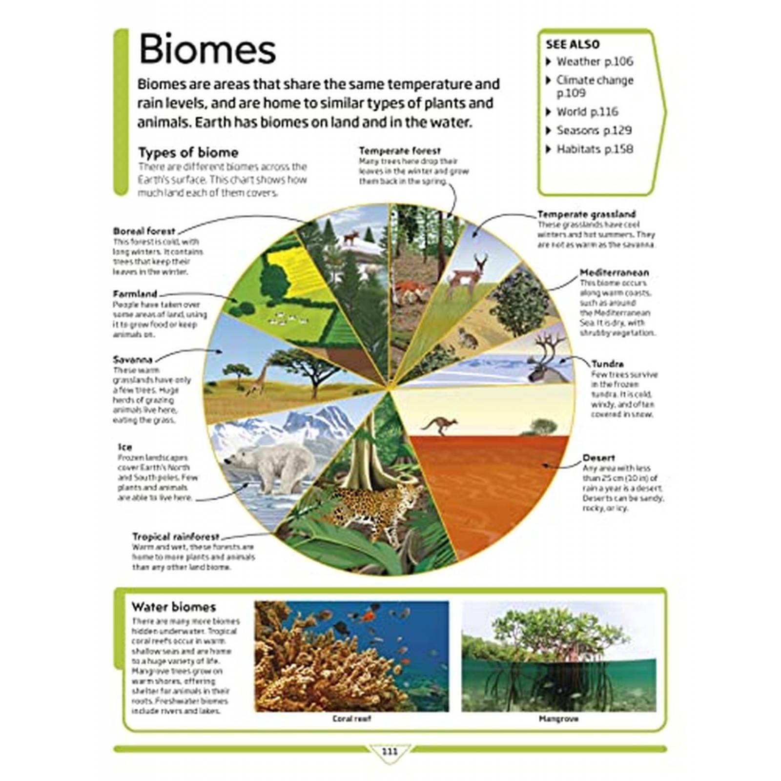 DK Children's Encyclopedia: The Book That Explains Everything! (Libro en Inglés) 