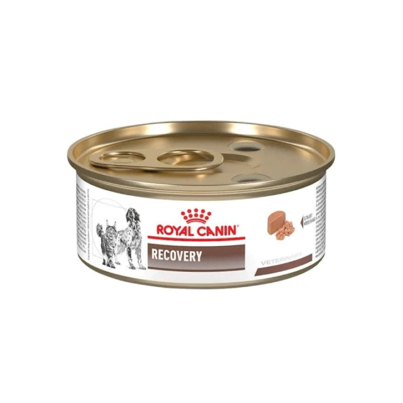 Royal Canin Recovery 12 Latas de 165 Gr - Alimento para Perro