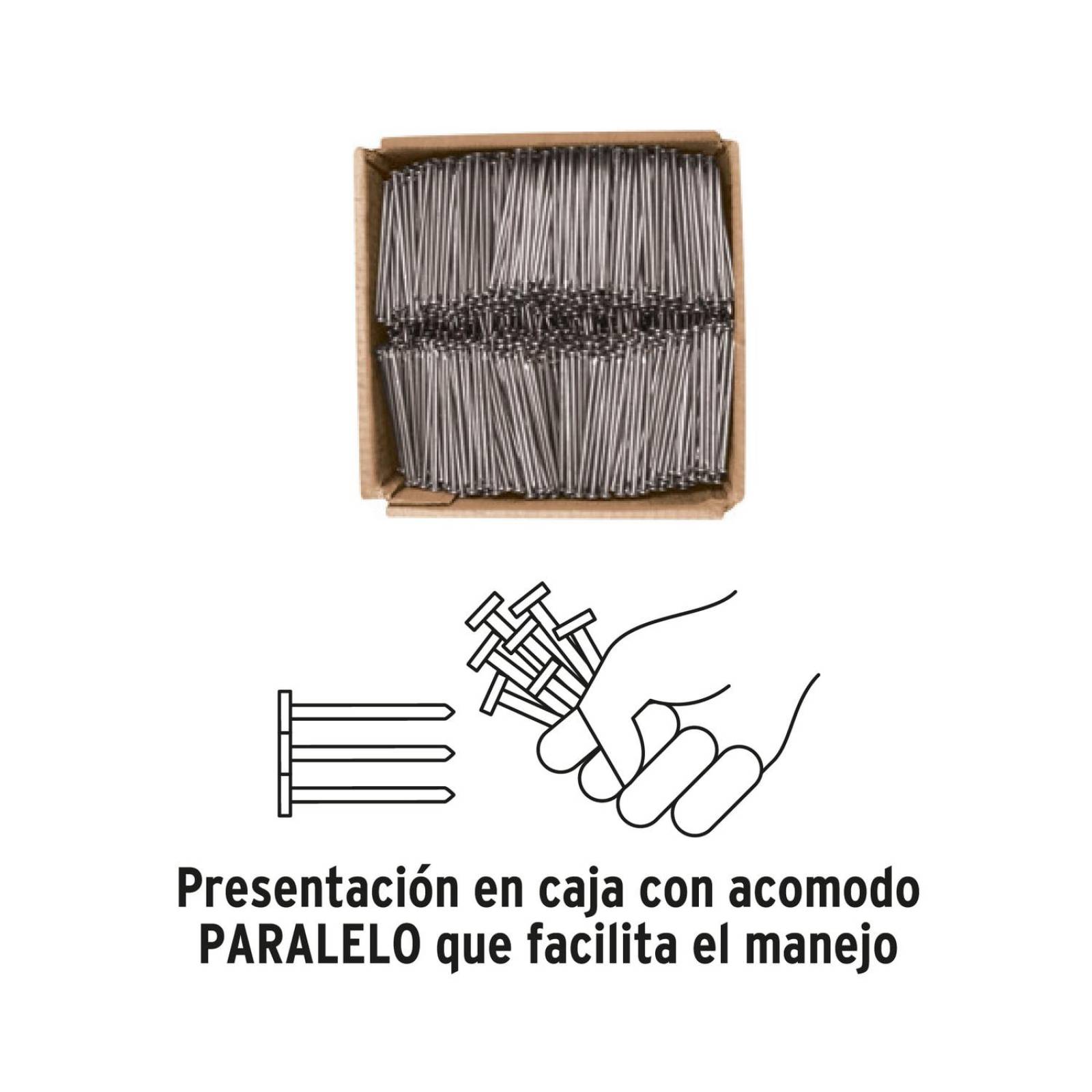 Kilo de clavo standard 4" con cabeza en caja de 10 kg, Fiero