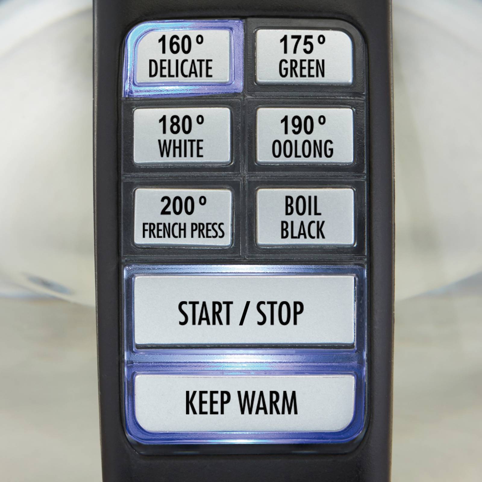 Jarra Hervidor de vidrio 17 L infusor 1500w Hamilton Beach