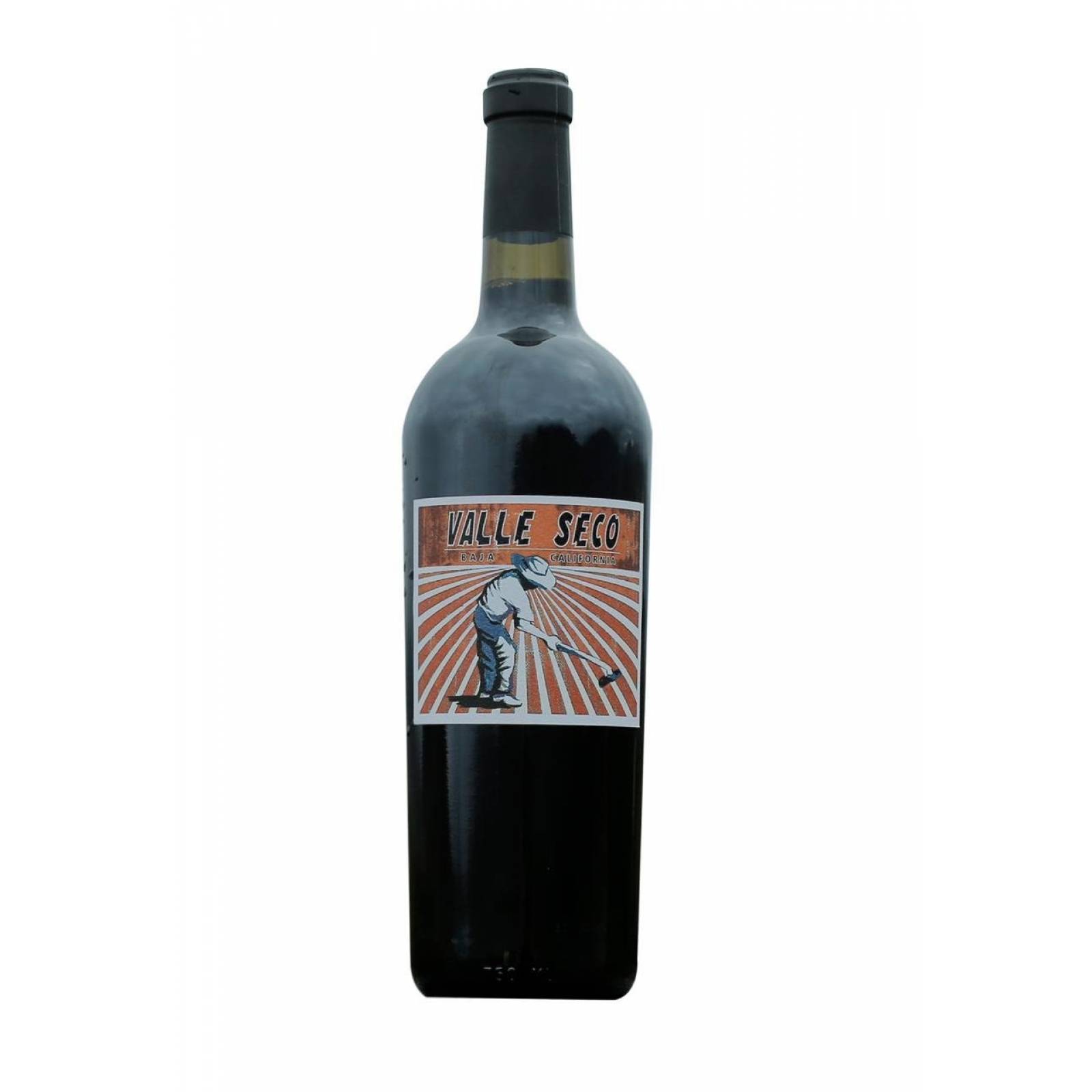 Vino Tinto Valle Seco Tinto 750 ml