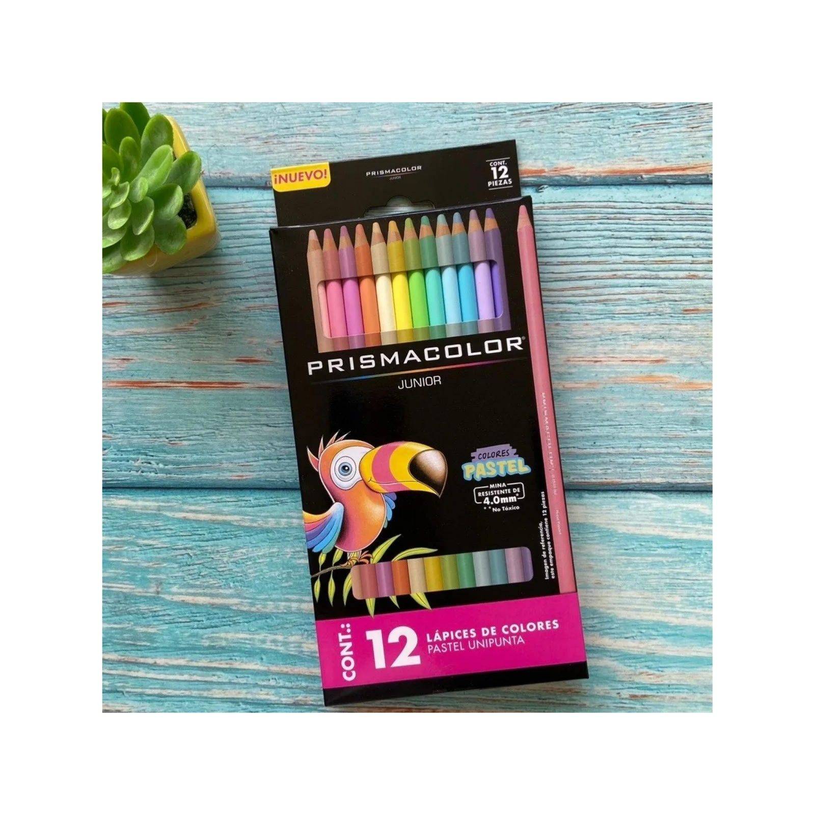 12 Lápices de Color Prismacolor Junior Pastel
