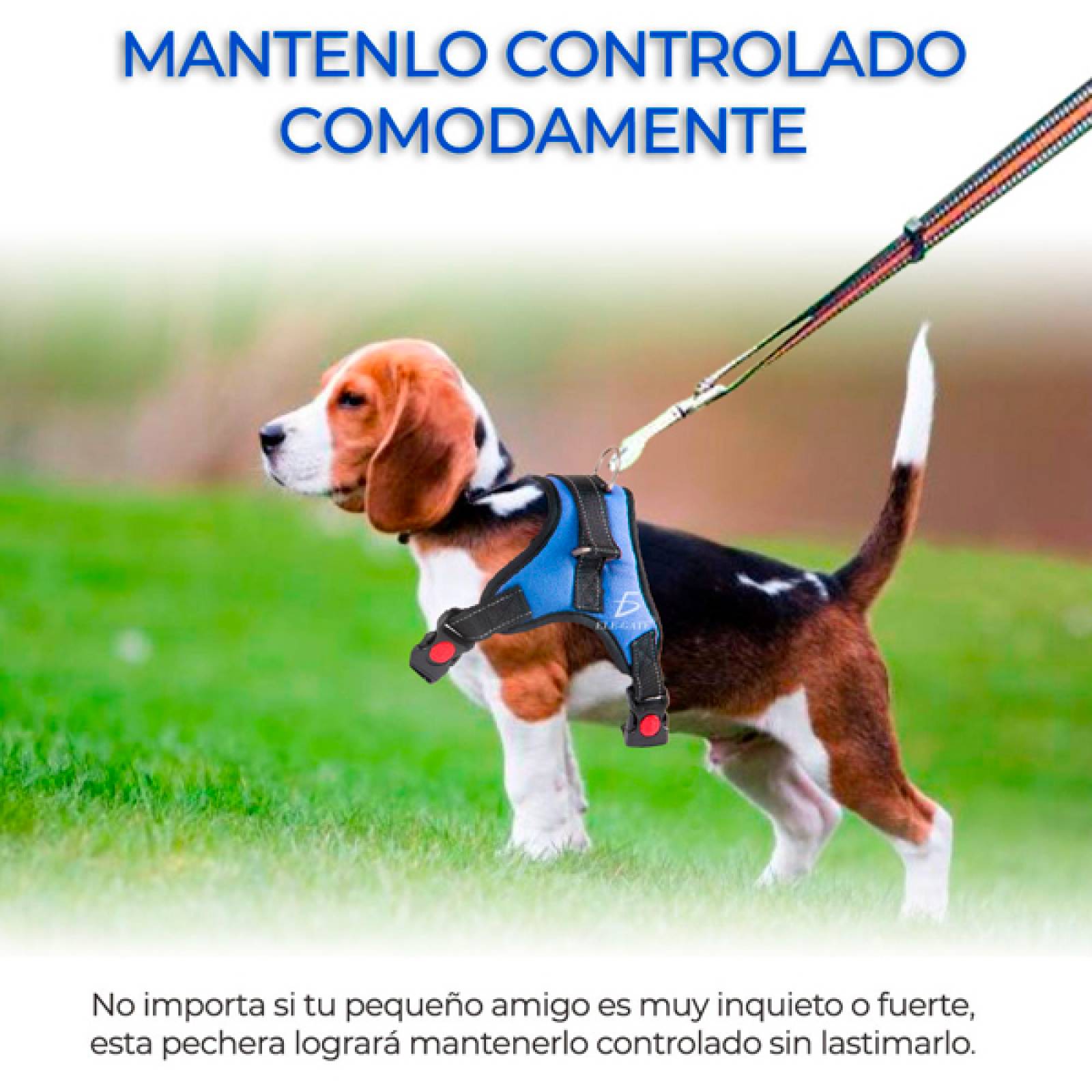 Pechera Arnés Para Perro Mascota Ajustable