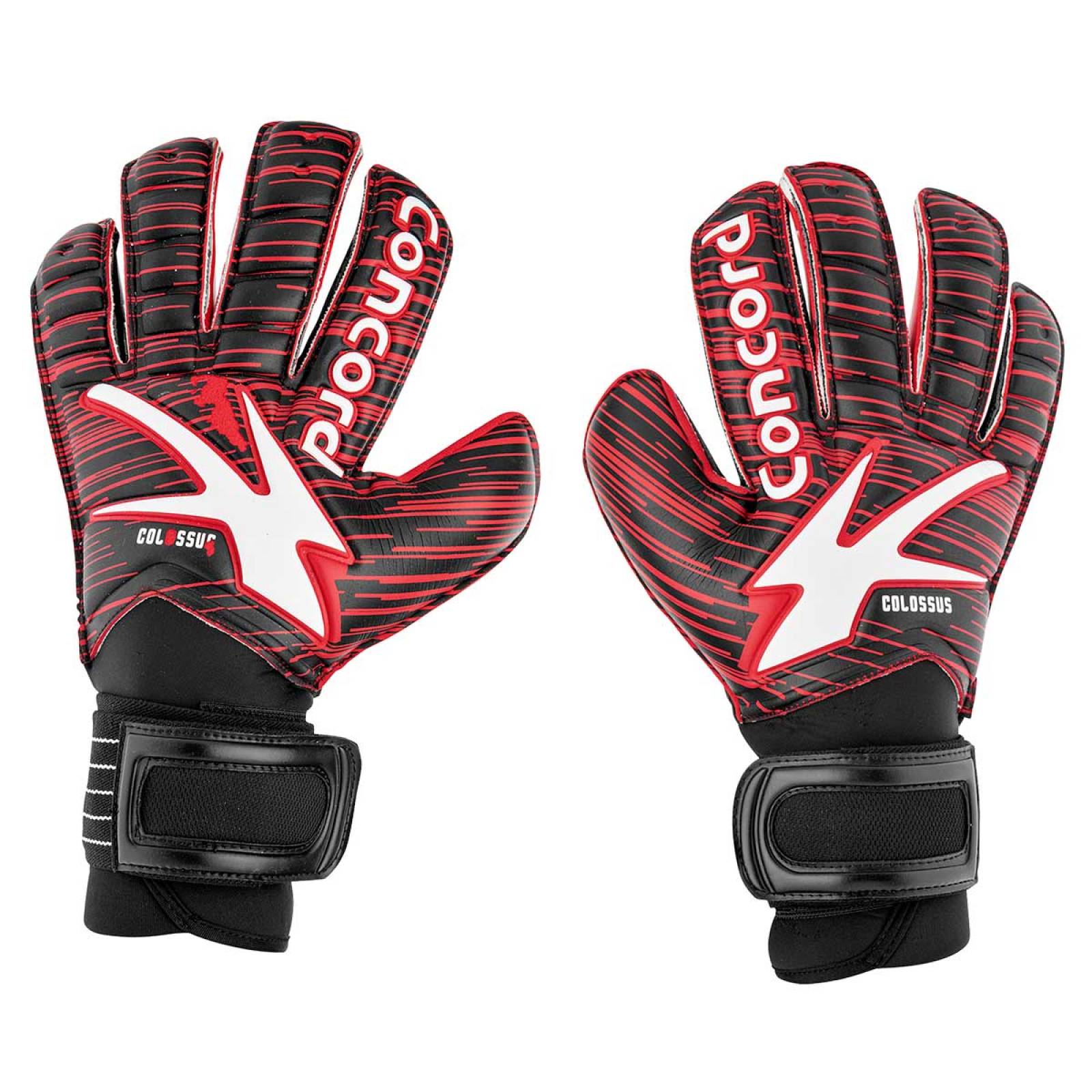 Concord Accesorios para toda la familia 87934-1