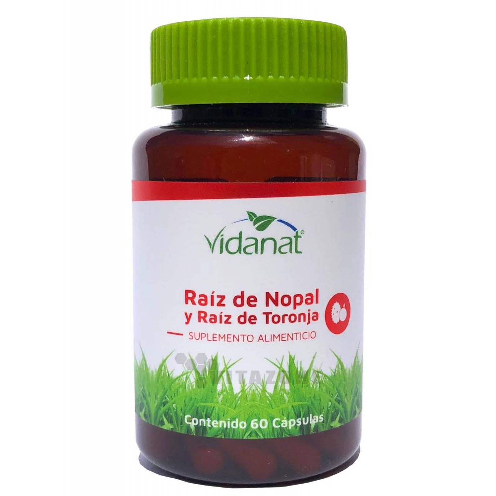 Raíz de Nopal y Raíz de Toronja 60 cápsulas Vidanat 