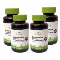 Glucosamina, Condroitina Y Cartílago De Tiburón 400 Caps Vidanat.