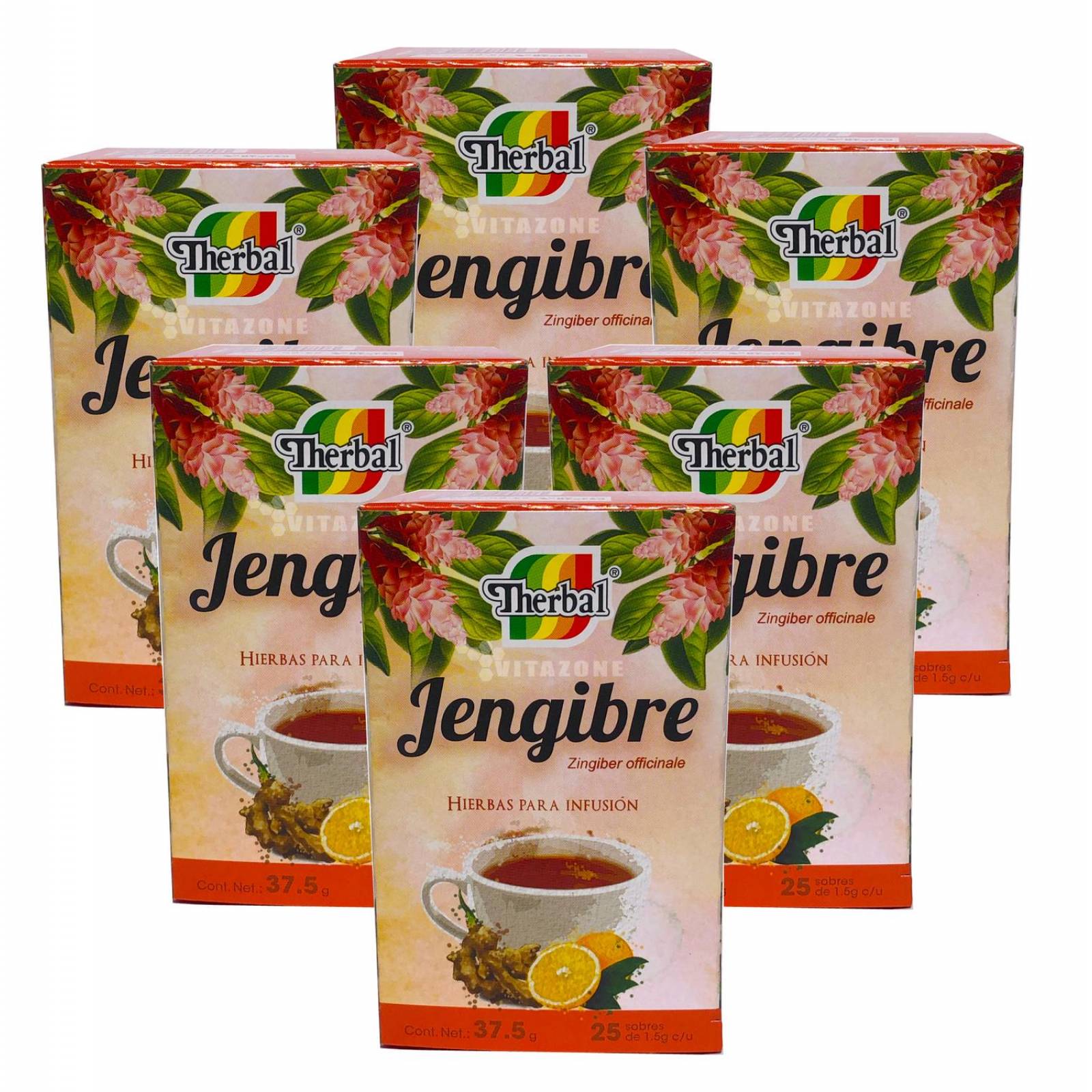 Té De Jengibre 25 Sobres Therbal 6 Cajas 9670