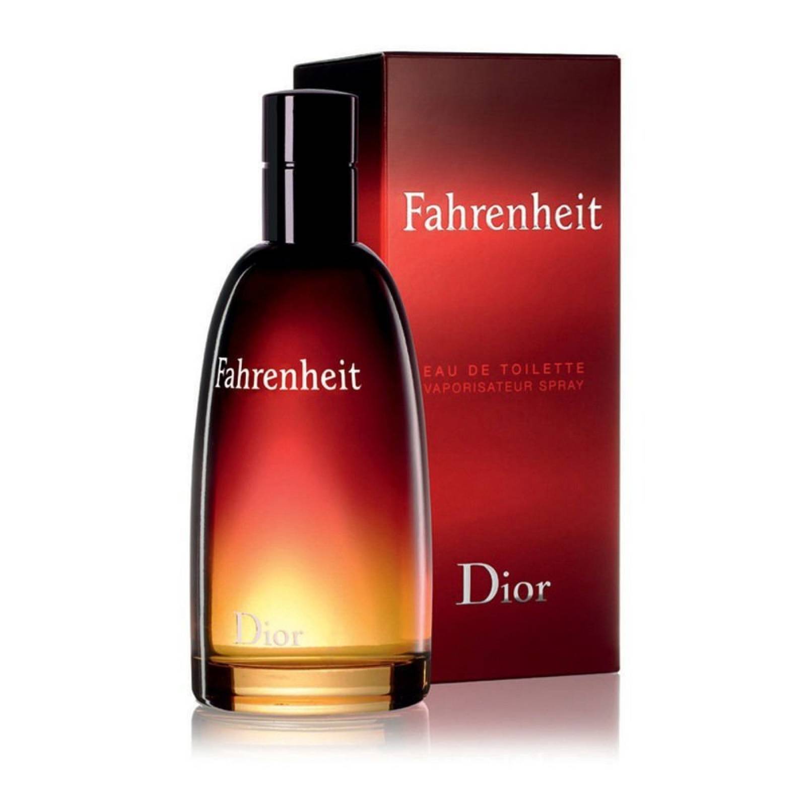 Fahrenheit De Christian Dior Eau De Toilette 100 ml