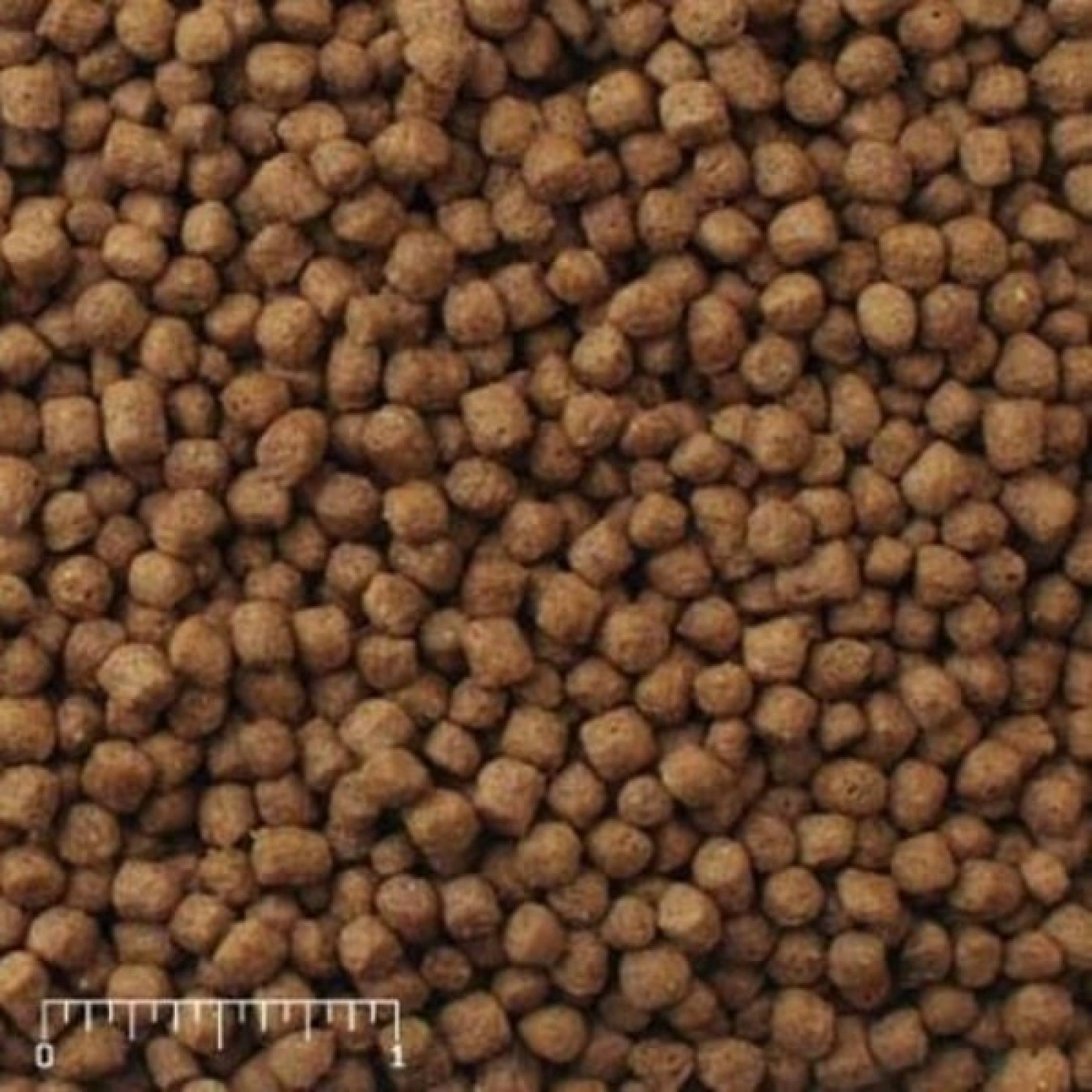 Alimento Tortugas Mazuri Acuáticas Tortuga Agua Dulce 450gr