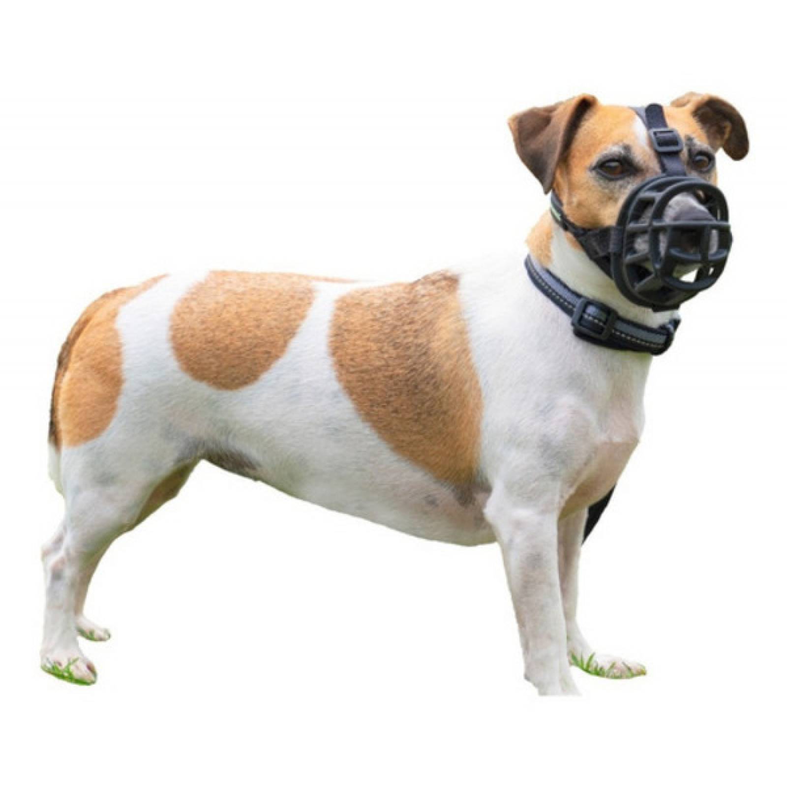 Bozal Baskerville Ultra Talla 2