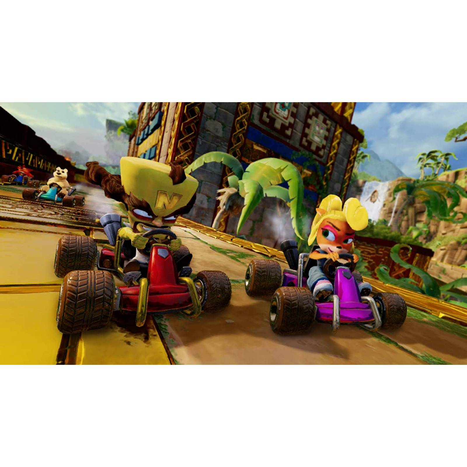 Crash Team Racing   Nitro Fueled  Nintendo Switch 