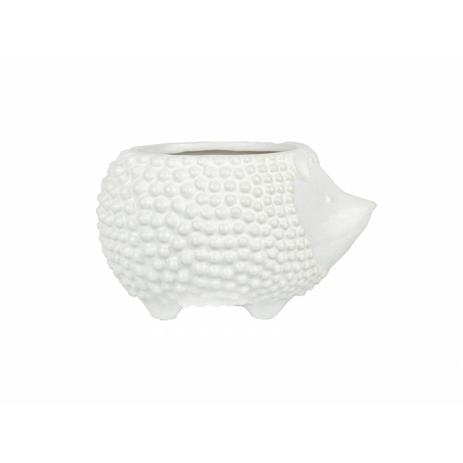 Maceta Erizo Baby en CerÃ¡mica Color Blanco RK668323
