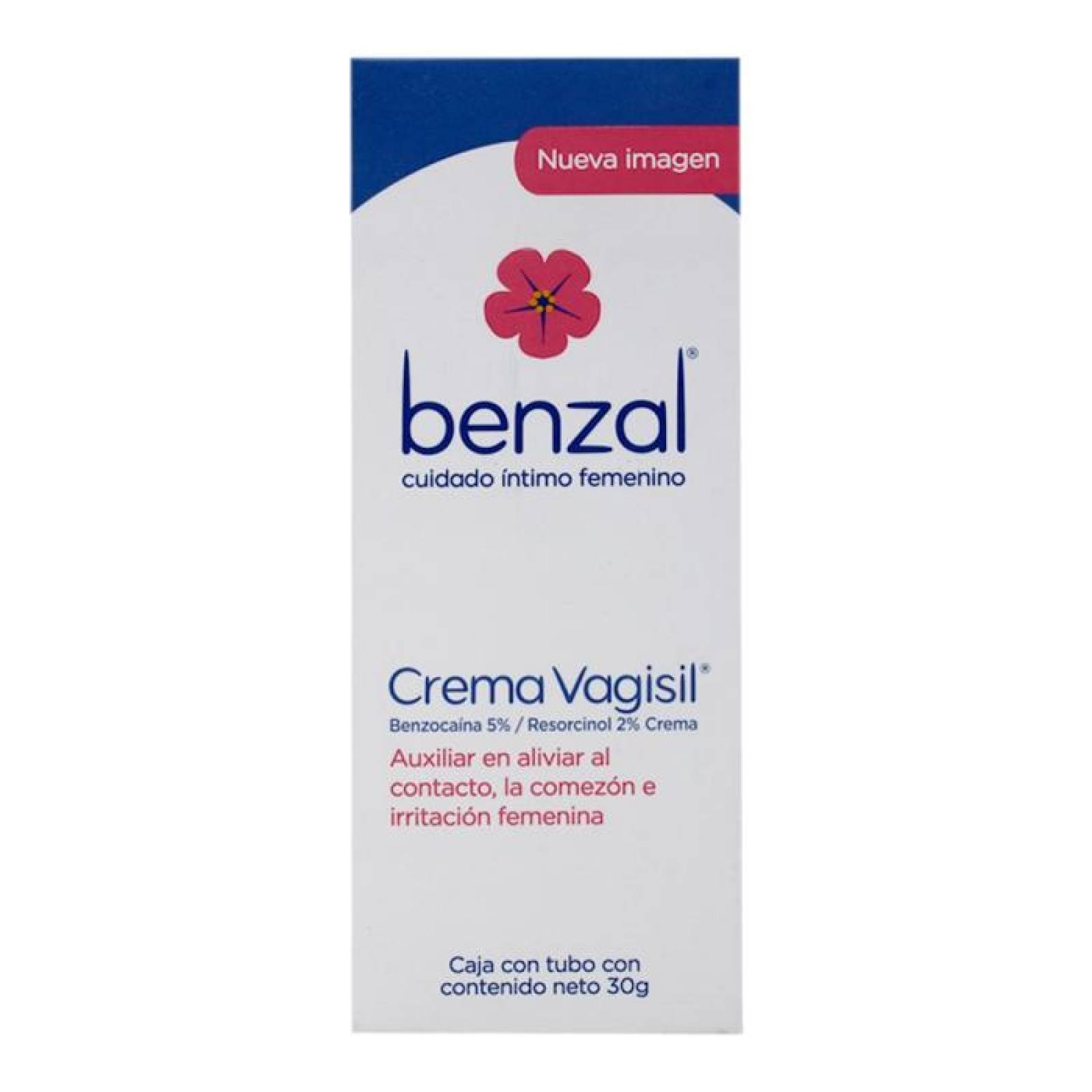 Benzal Crema Vagisil tubo 30g