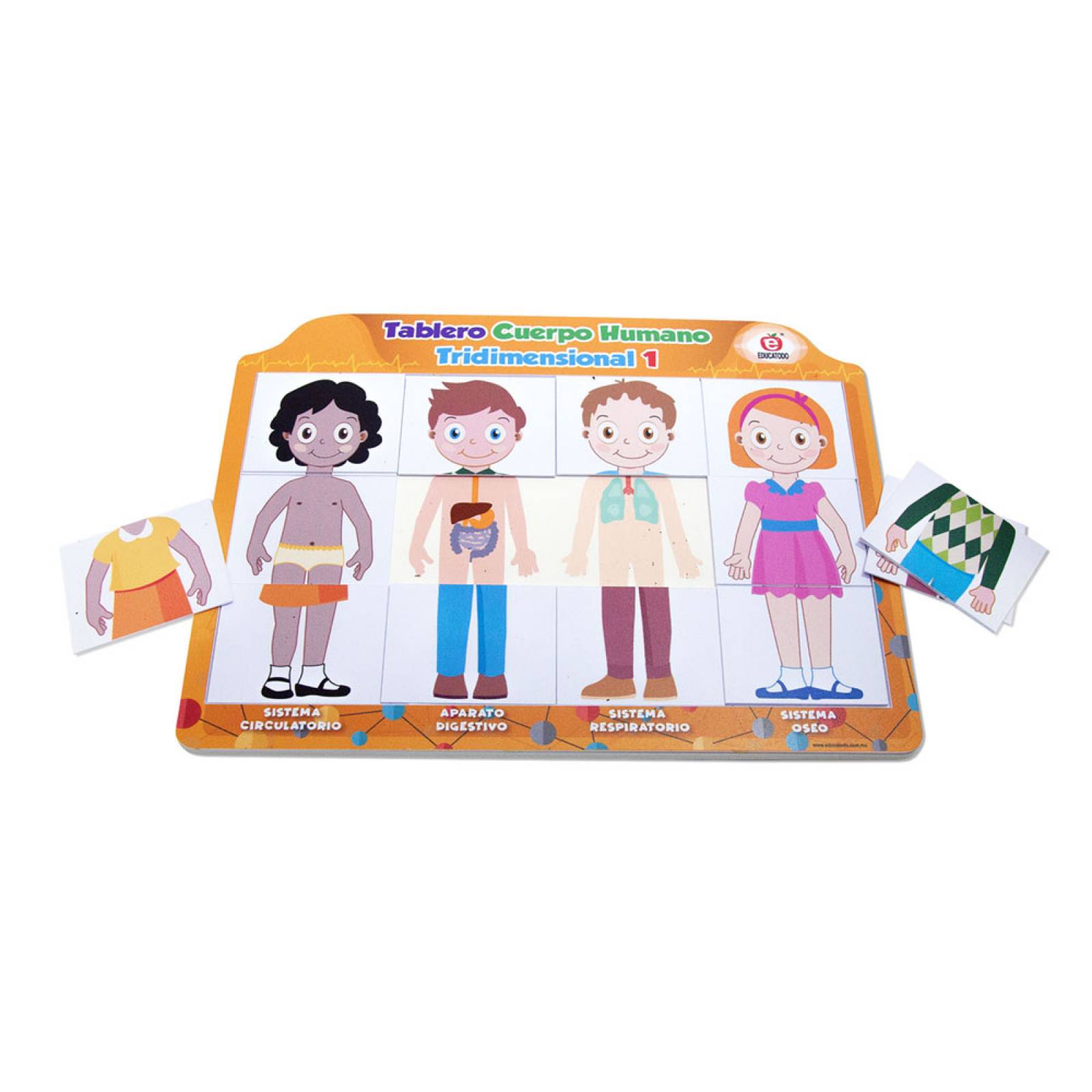 Tablero Cuerpo Humano Tridimensional 1 Nuevo Diseño