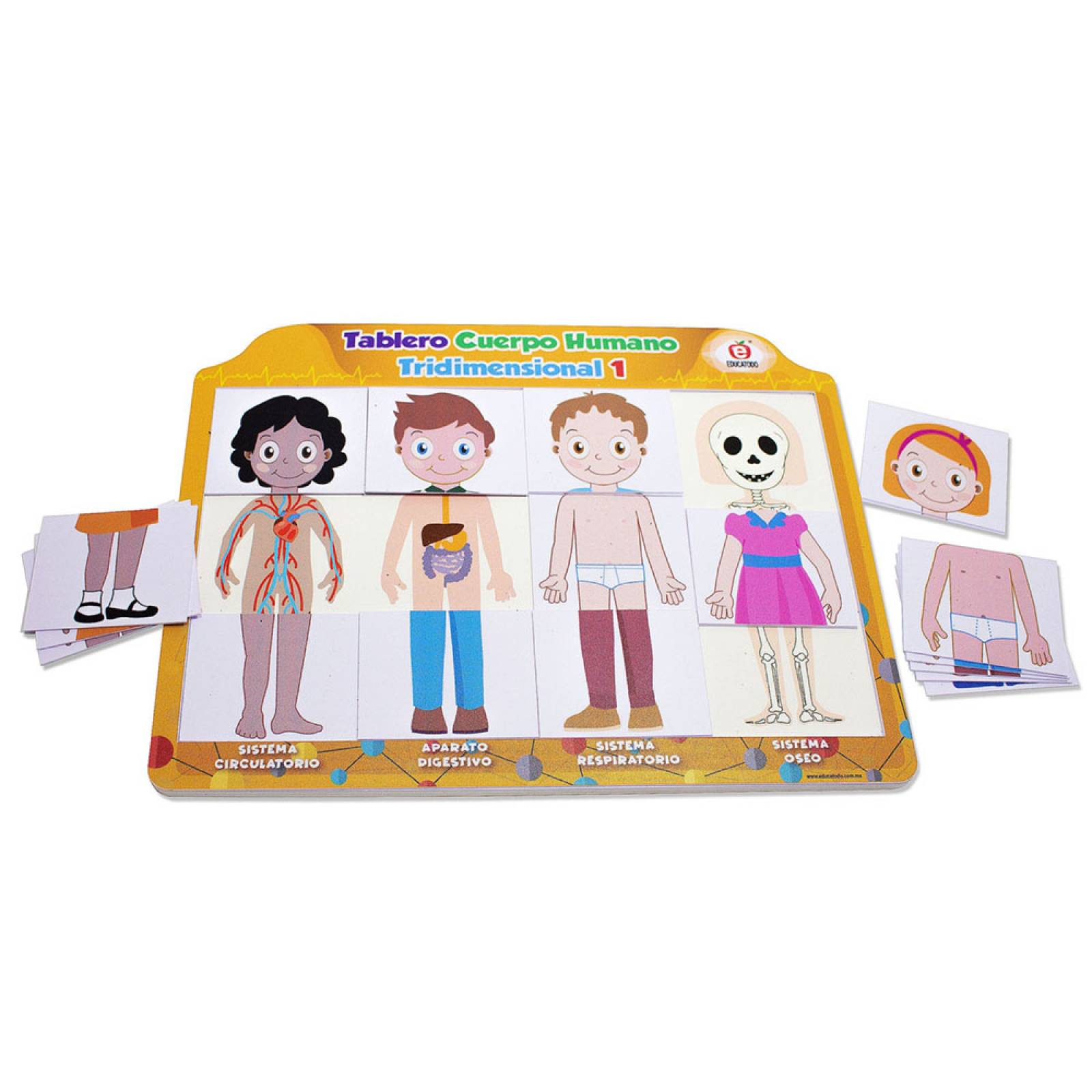 Tablero Cuerpo Humano Tridimensional 1 Nuevo Diseño