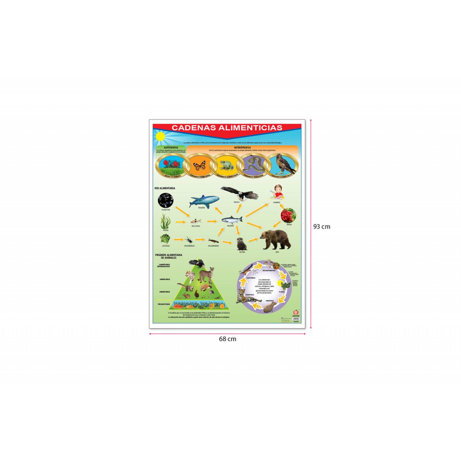 POSTER CADENAS ALIMENTICIAS