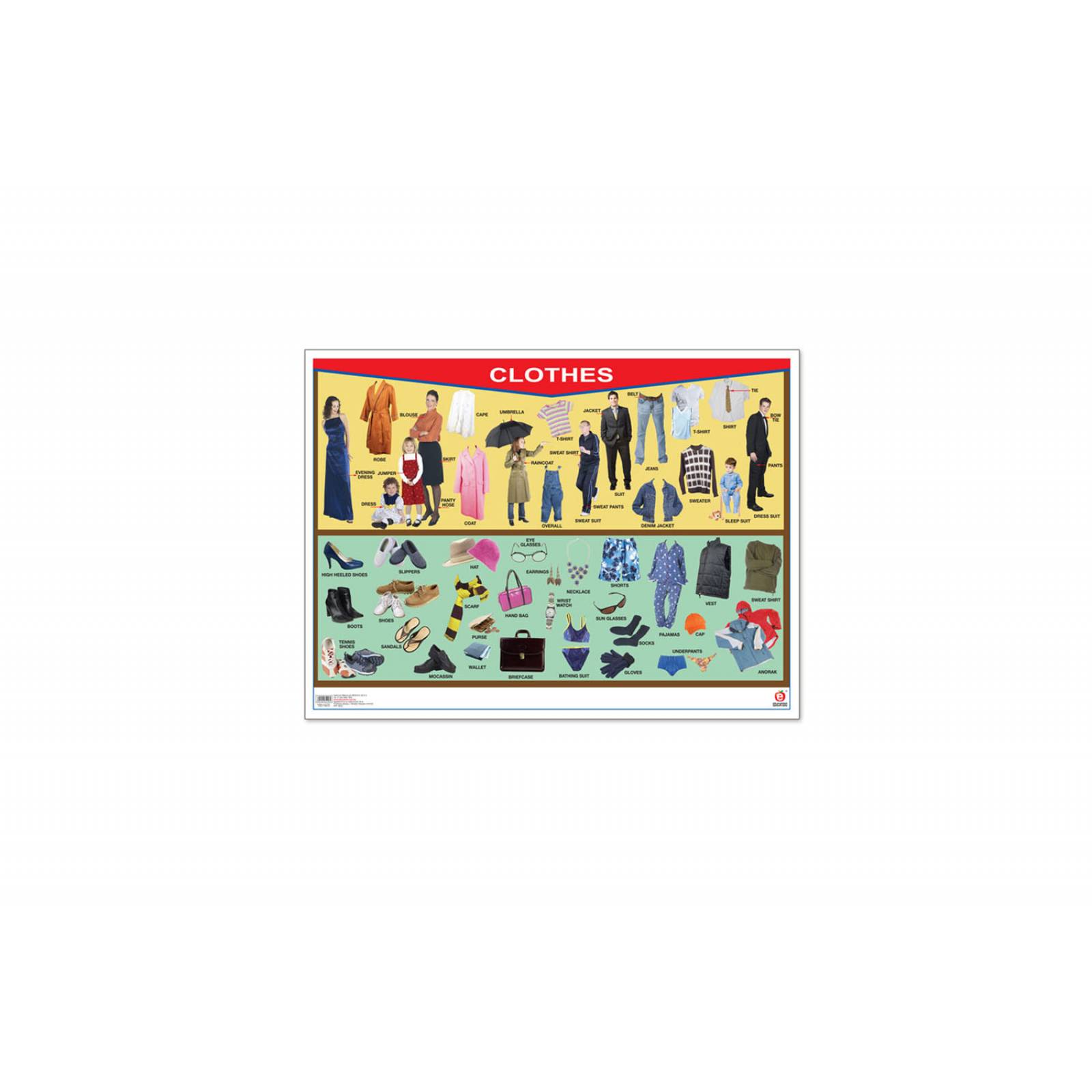 POSTER CLOTHES / FAMILY TREE