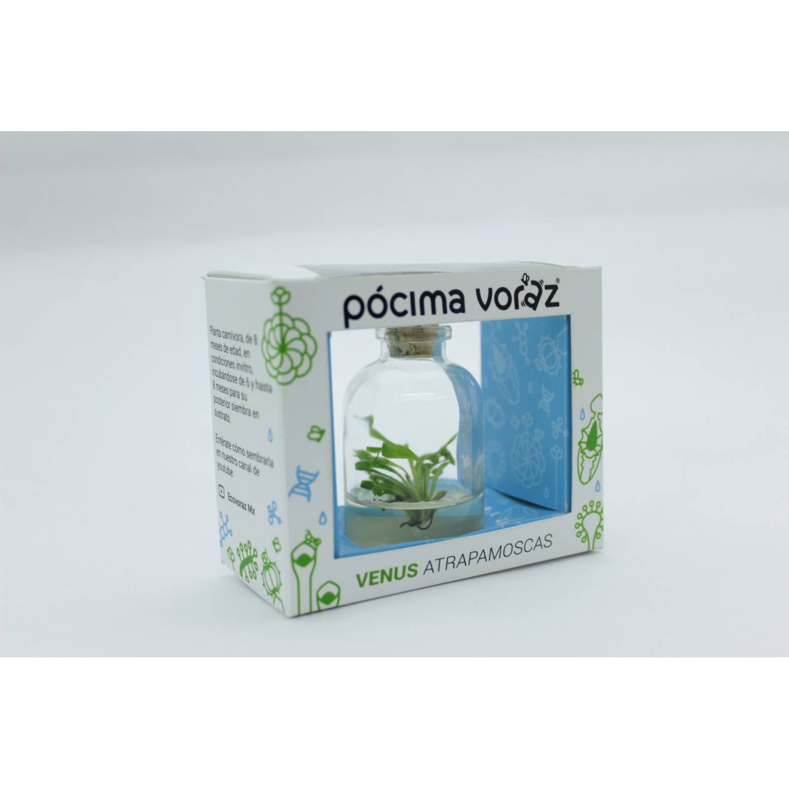 PLANTA CARNIVORA INVITRO 37ML POCIMA VORAZ