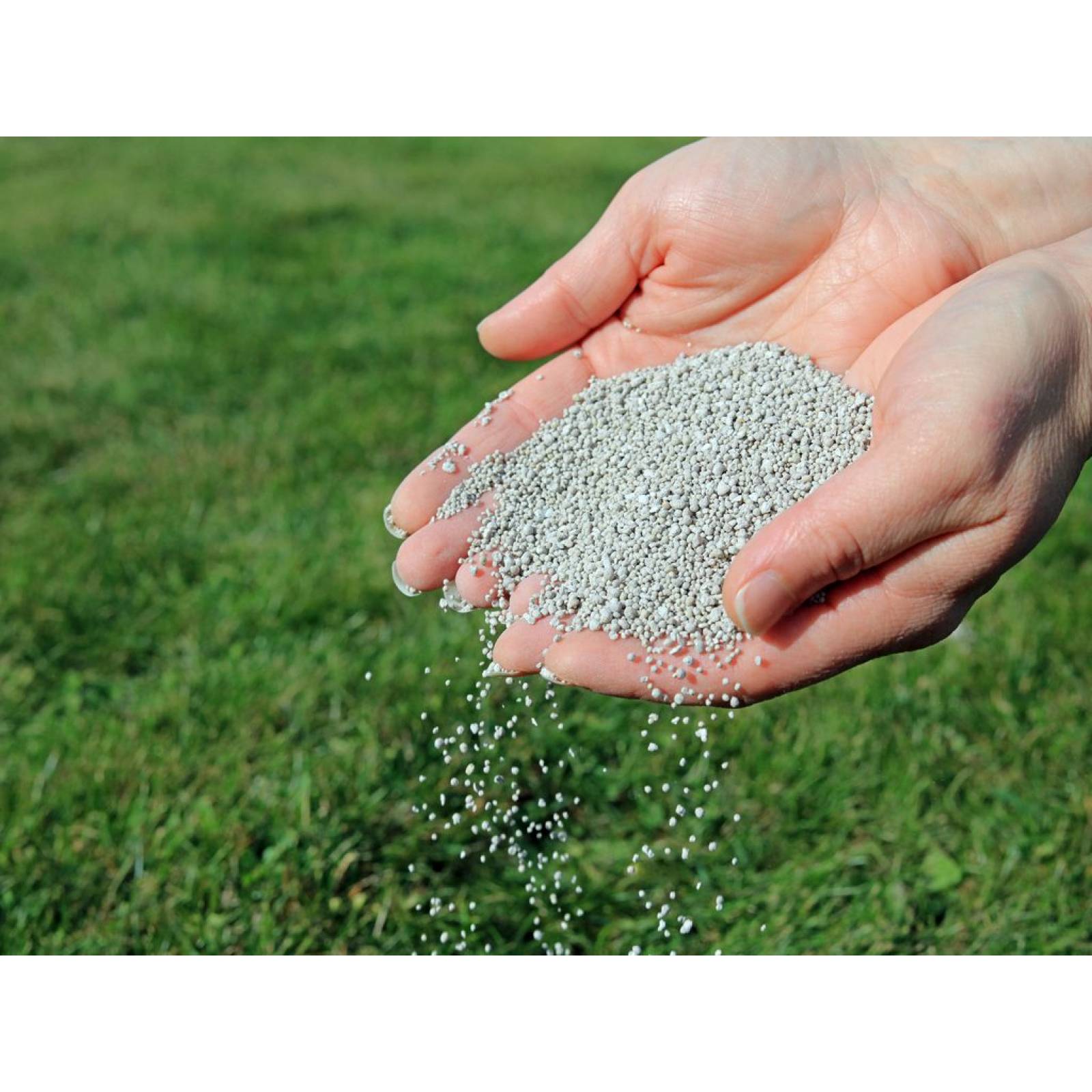 Nutripasto. Fertilizante para pasto. Bolsa 5 kg