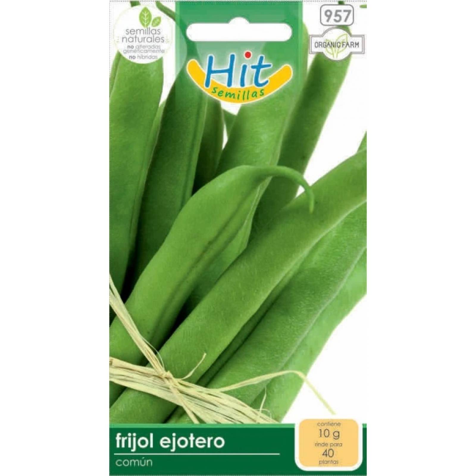 Semillas de Frijol ejotero