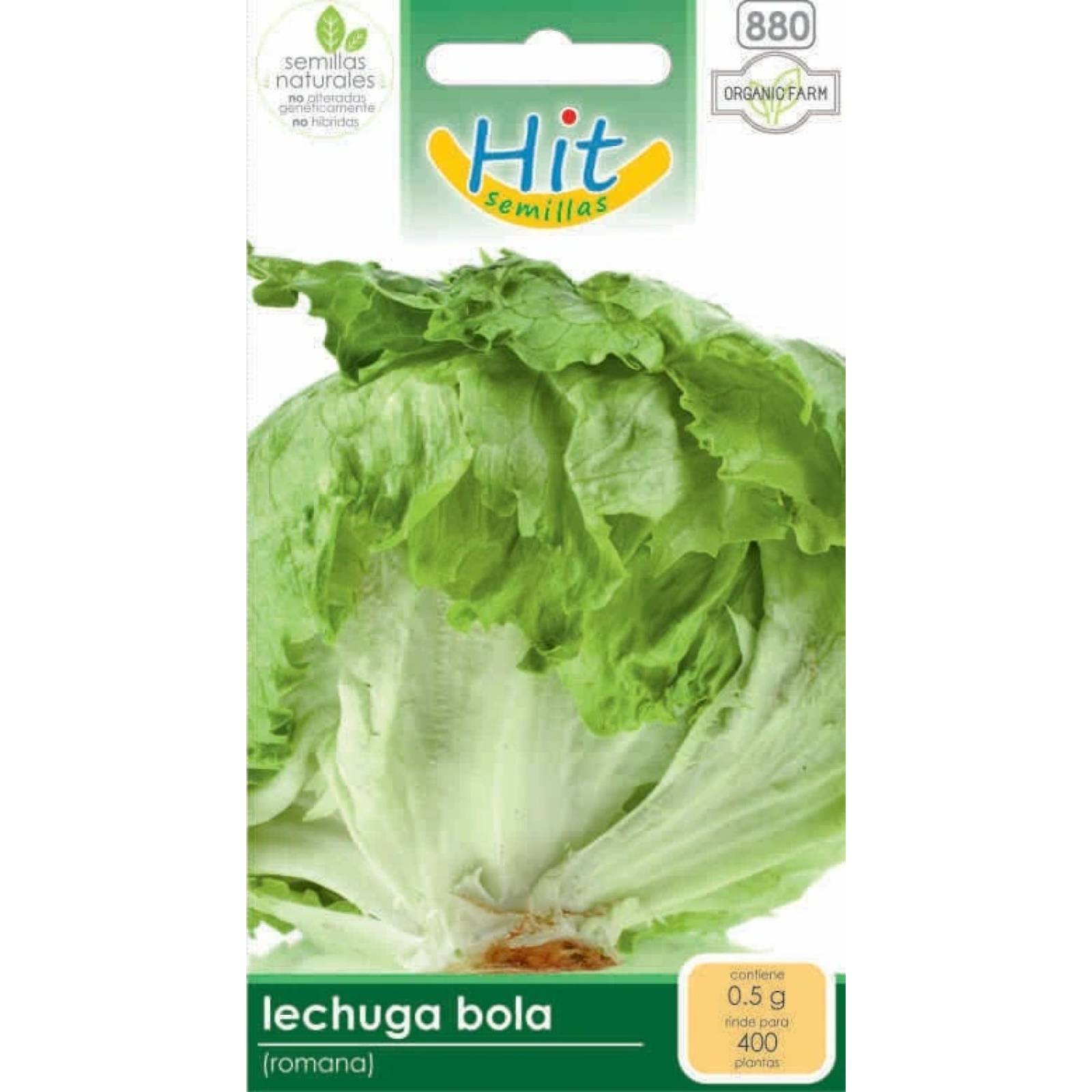 Semillas de Lechuga bola, Great Lakes