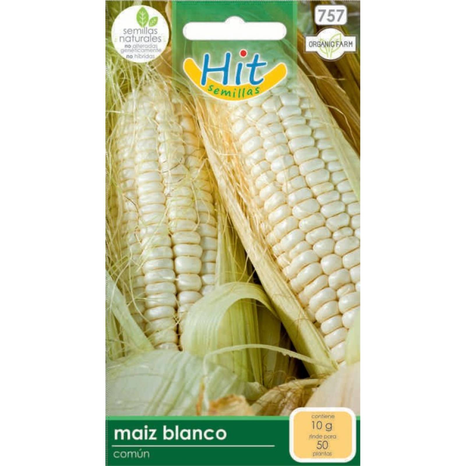 Semillas de Maiz blanco