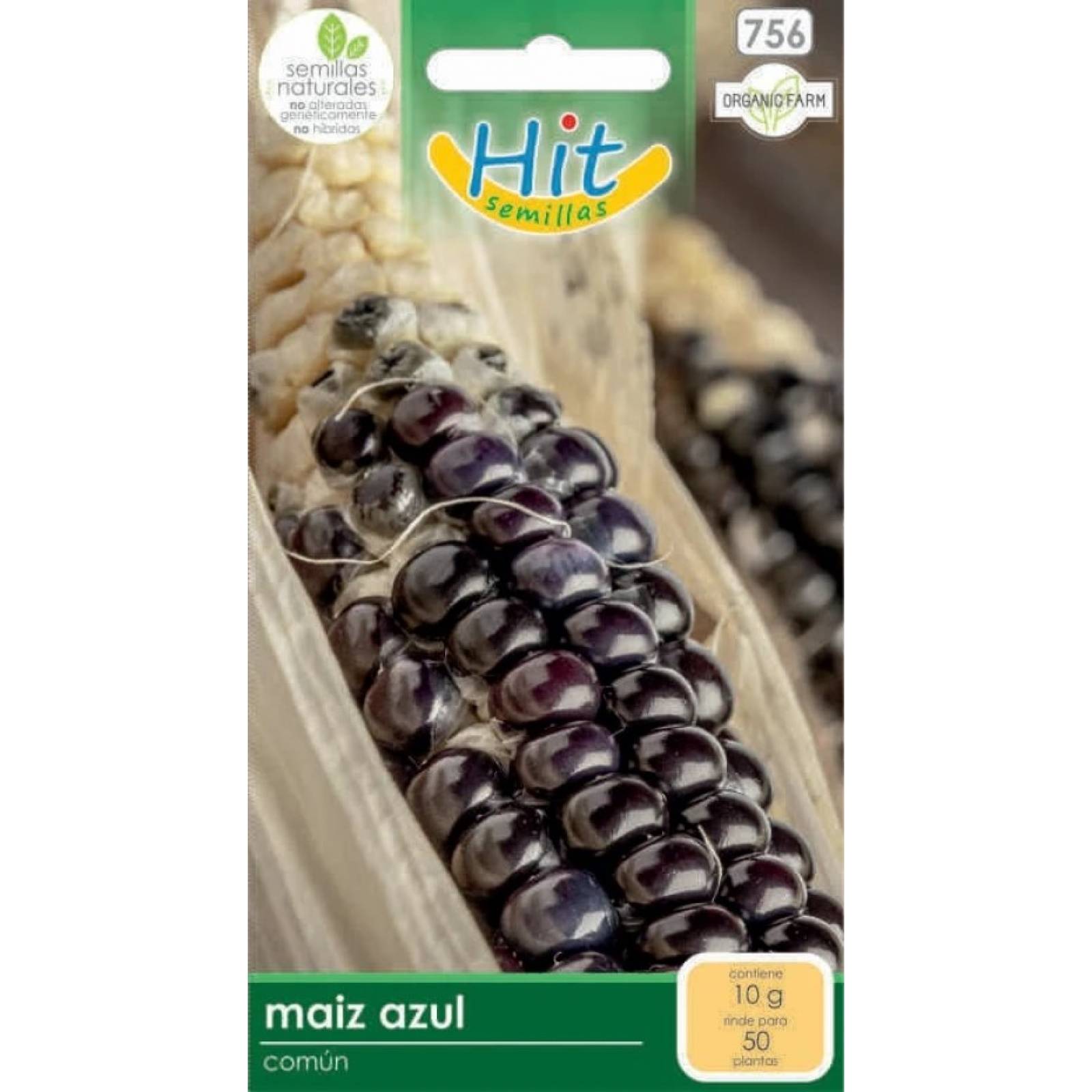 Semillas de Maíz azul