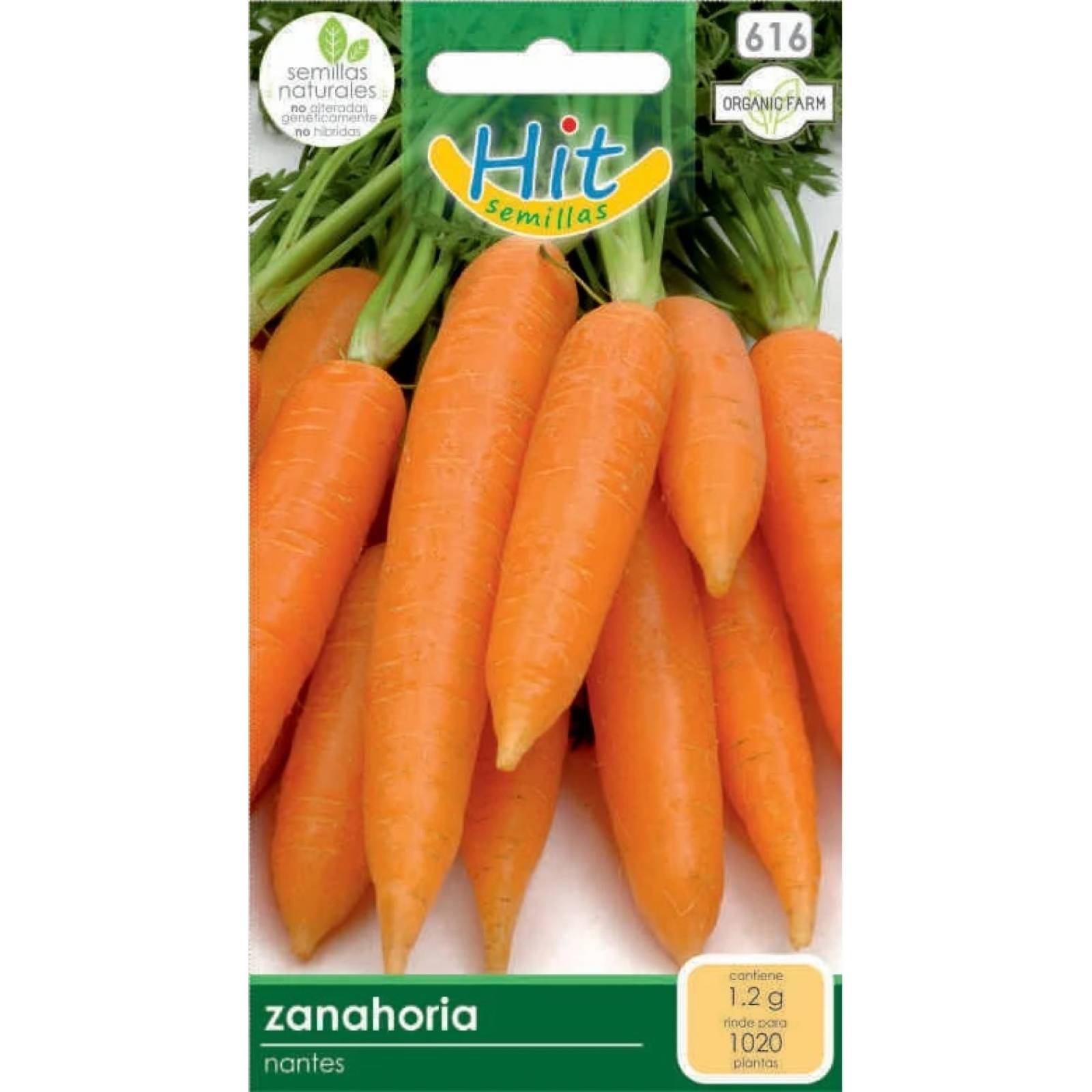 Semillas de Zanahoria