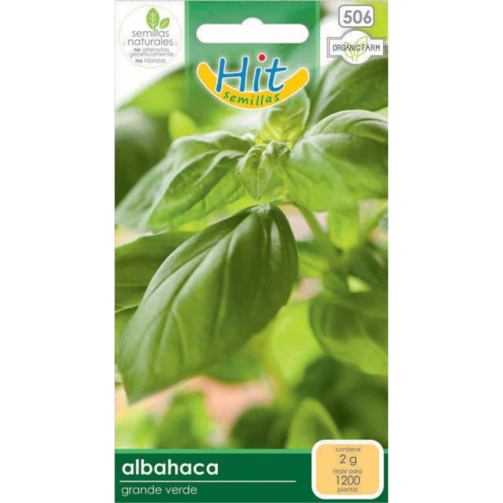 Semillas de Albahaca