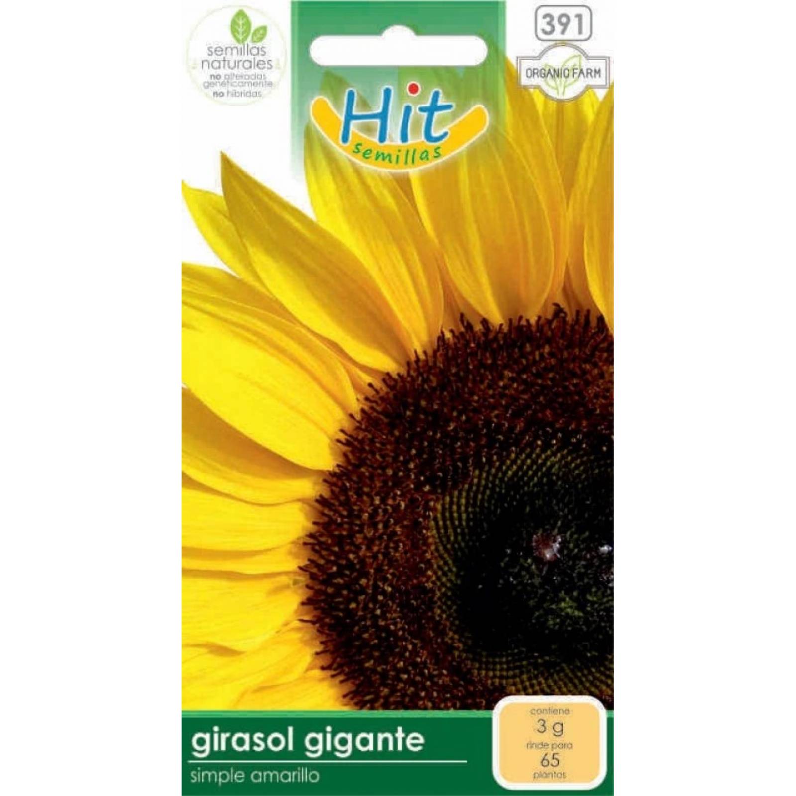 Girasol gigante