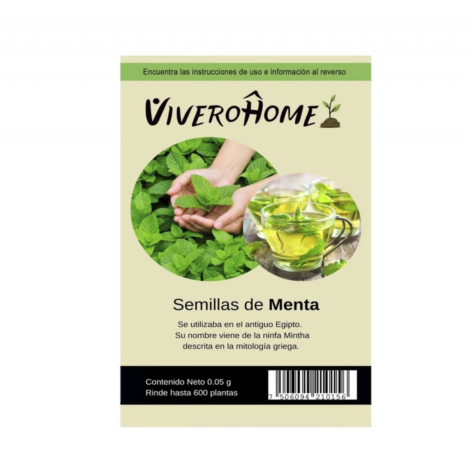 Semillas de menta