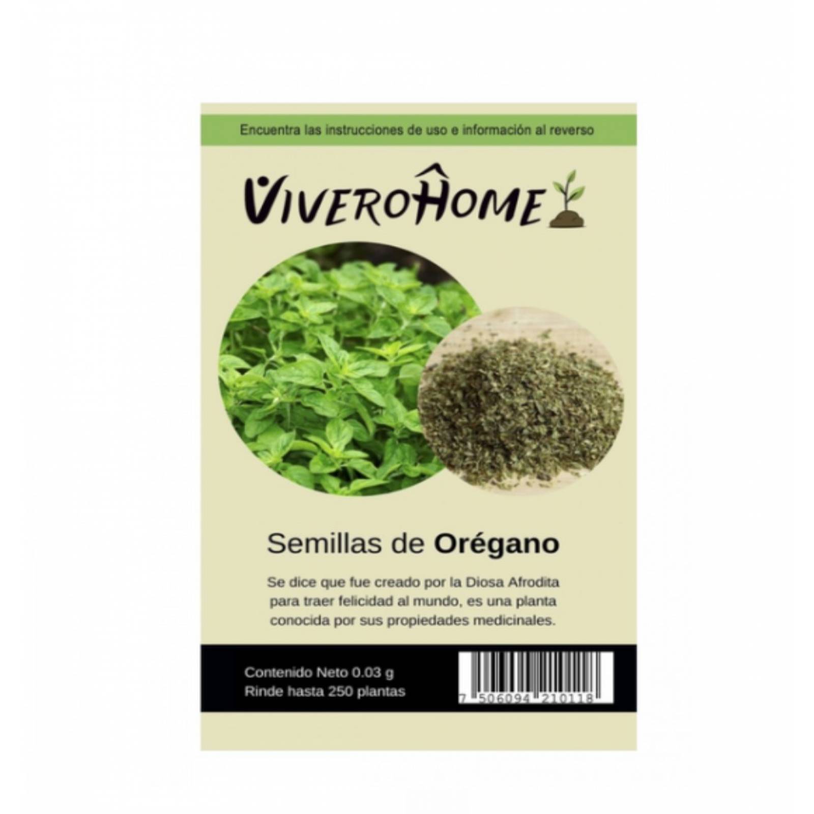 Semillas de orégano