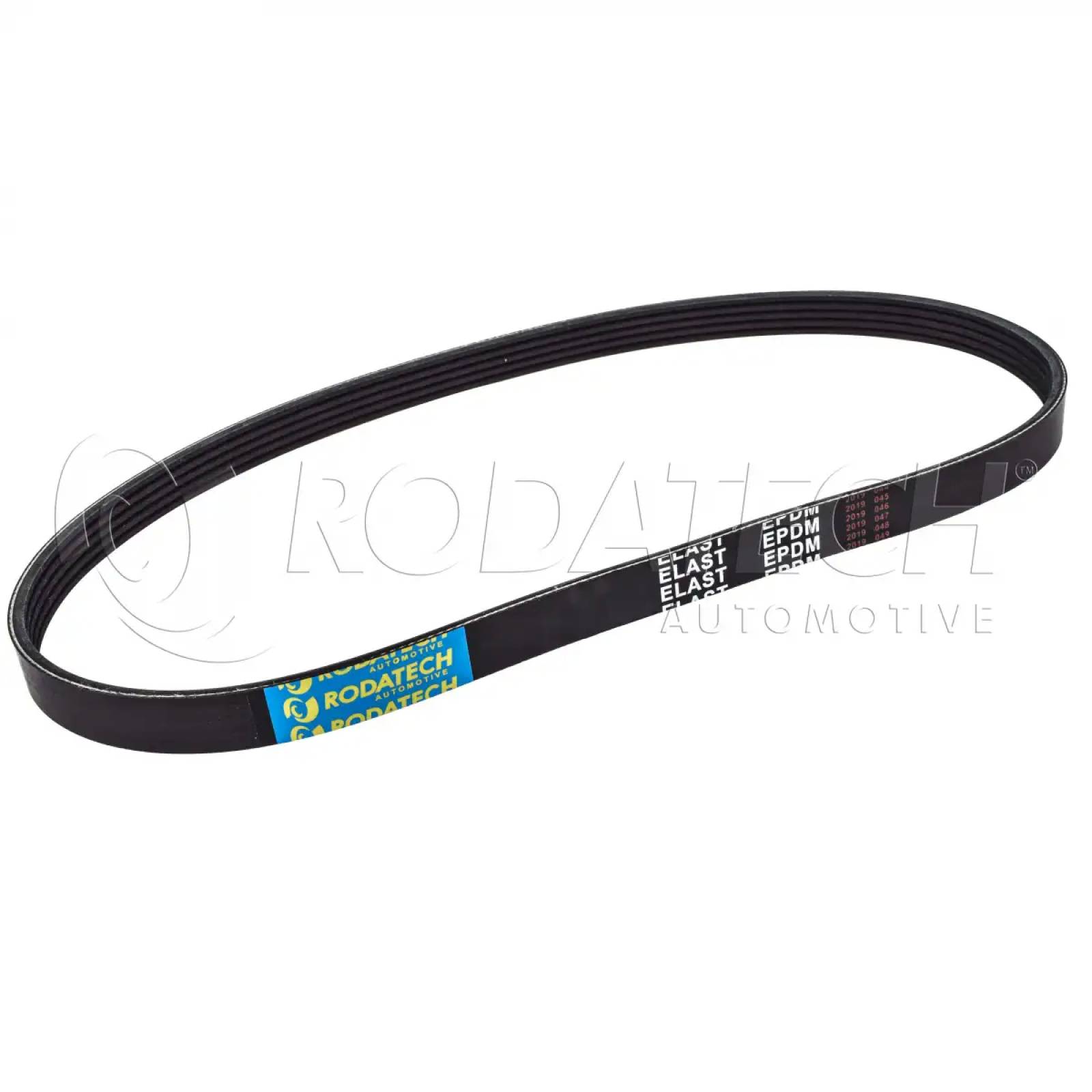 Banda Micro V FORD FOCUS 2006 2010 L4 2.0L