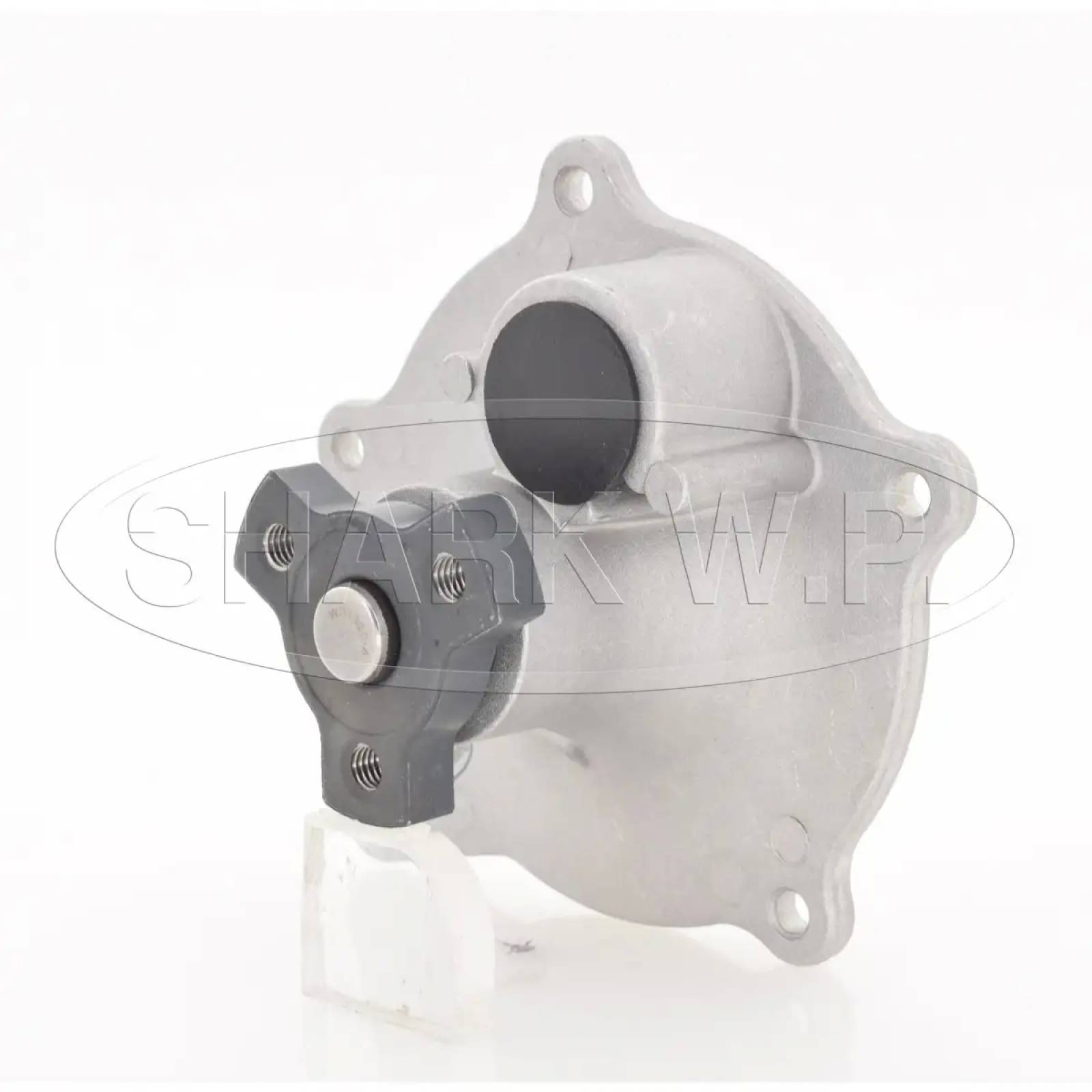 Bomba de Agua CHRYSLER GRAND VOYAGER 1991   2001 V6 3.8L