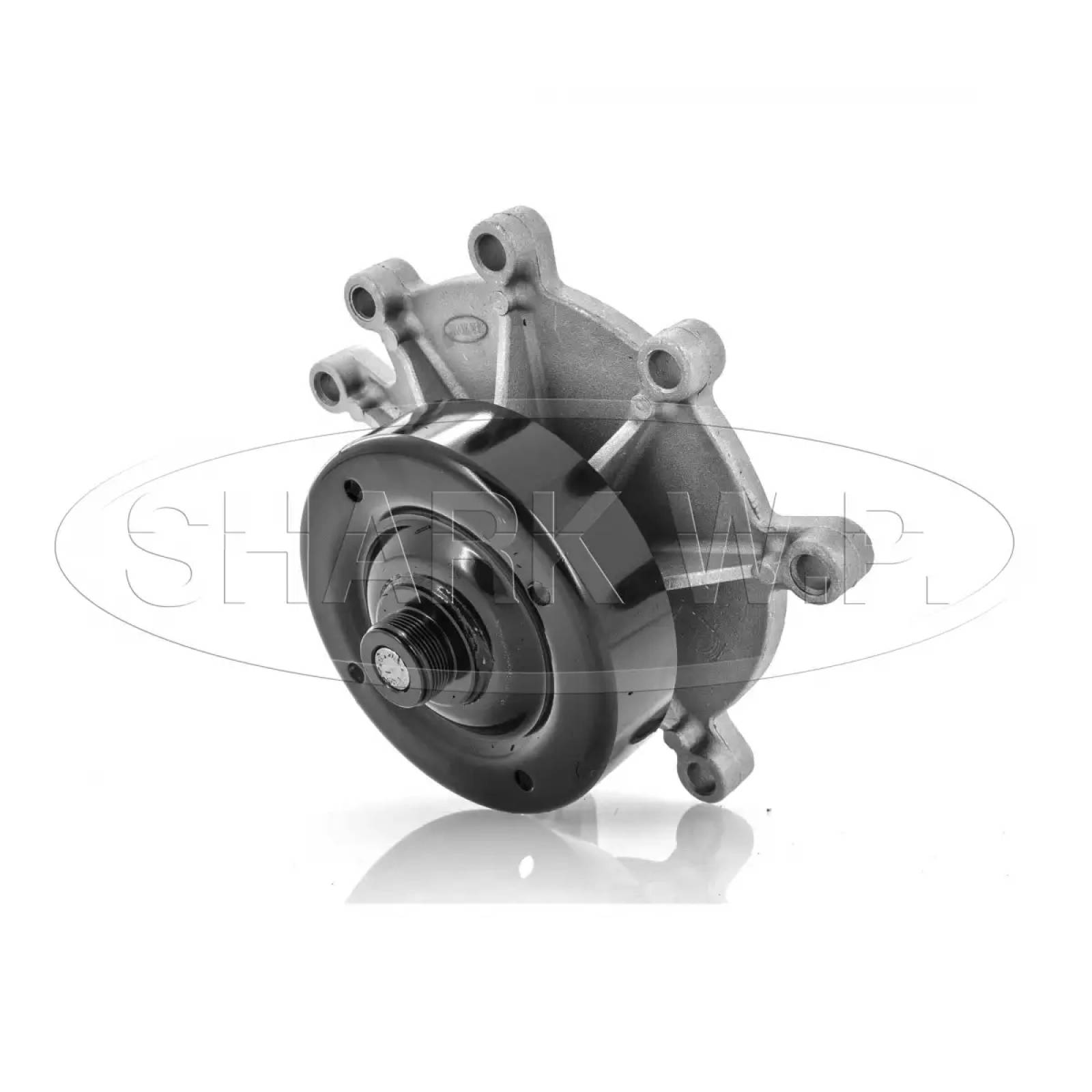 RL025169AC-G BOMBA DE GASOLINA DODGE 2008-2010 DAKOTA V6-3.7L V8-4.7L - Autopartes IAA