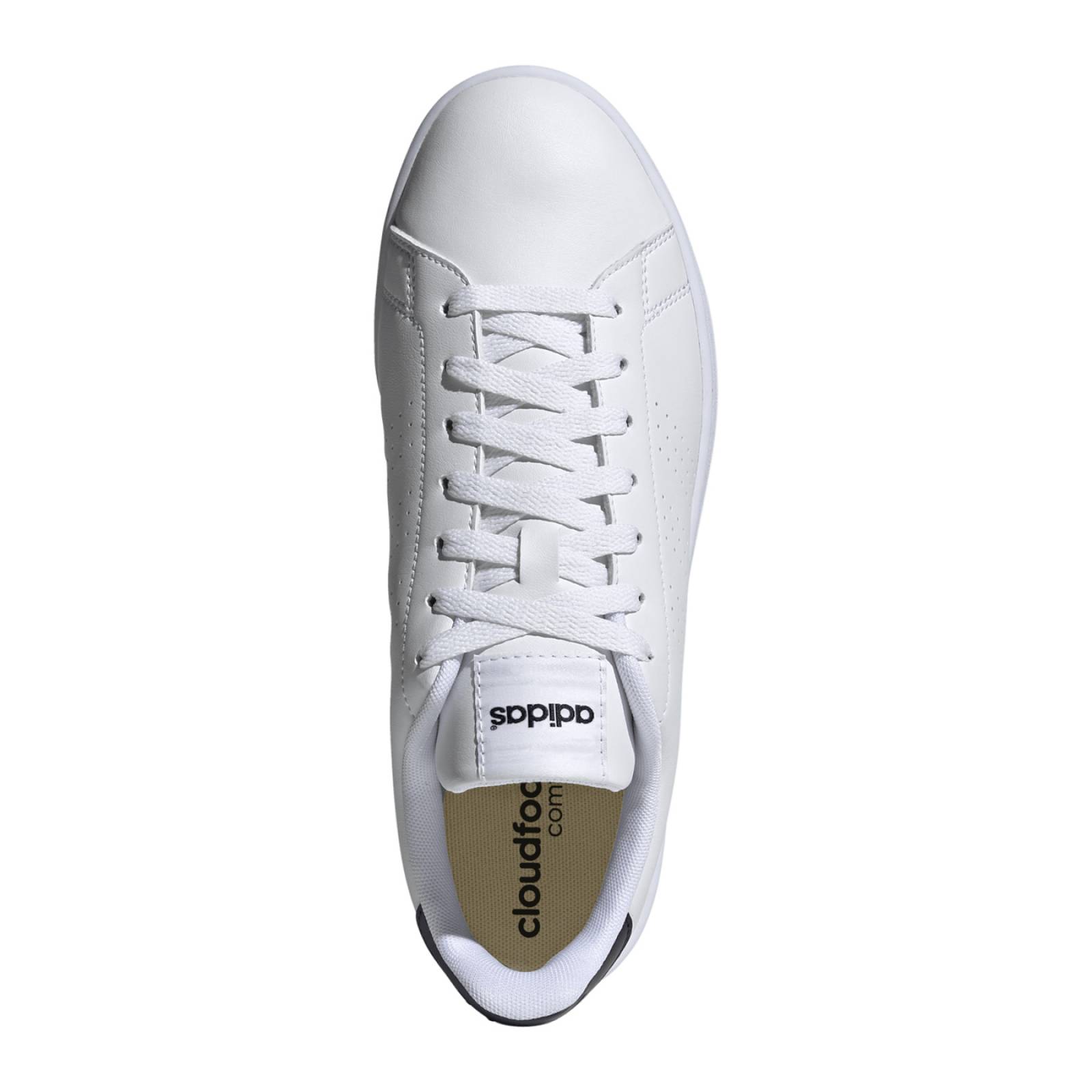 Tenis Adidas Hombre Blanco  Advantage Gz GZ5299