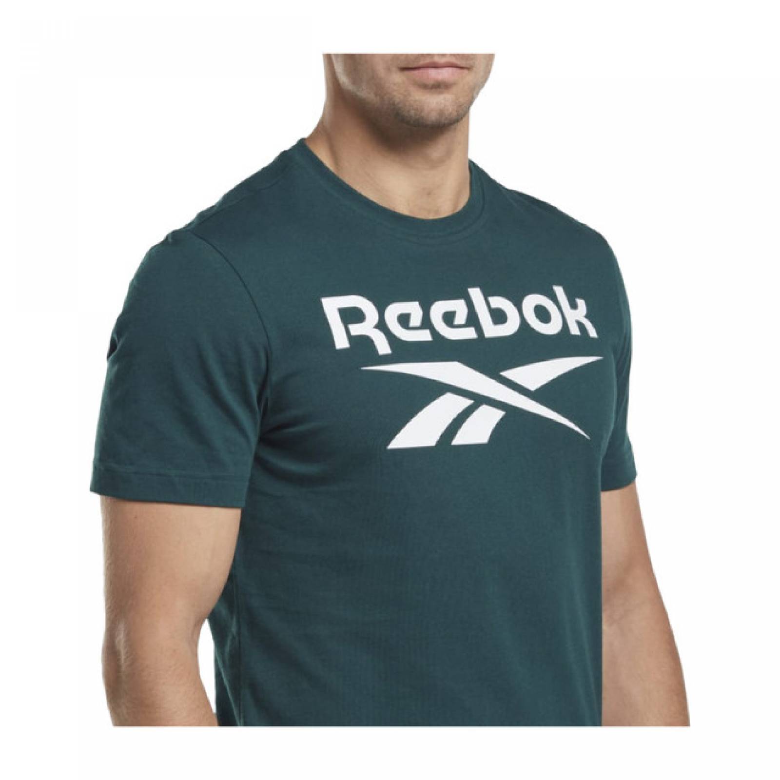 PLAYERA REEBOK HOMBRE VERDE RI Big Logo Tee HM5342