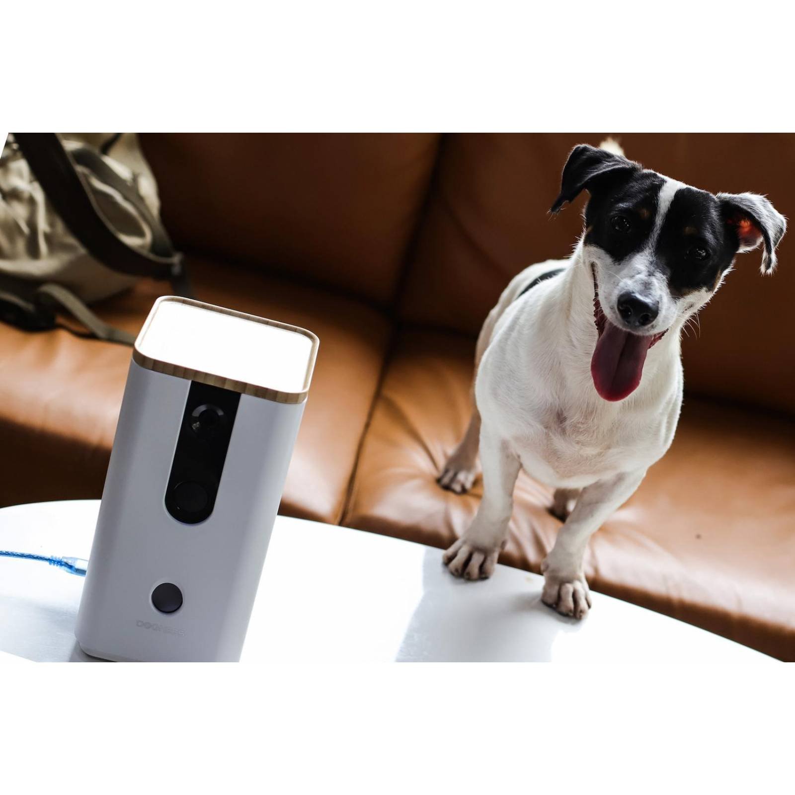 Dogness Dispensador de Premios para Mascotas con Cámara Blanco