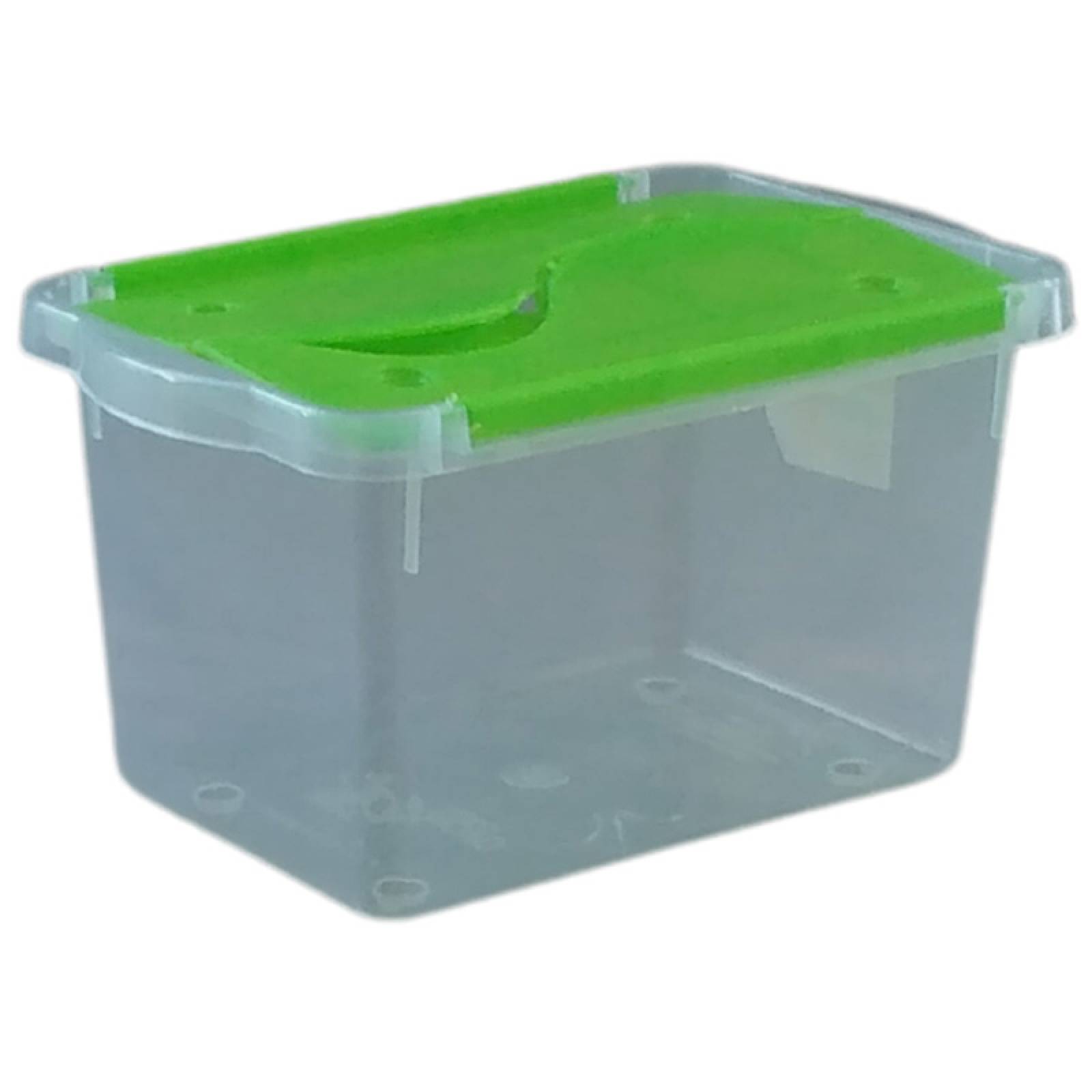 2 Cajas de Plastico 3.2 litros Transparente Tapa Verde Multicositas- PEYO