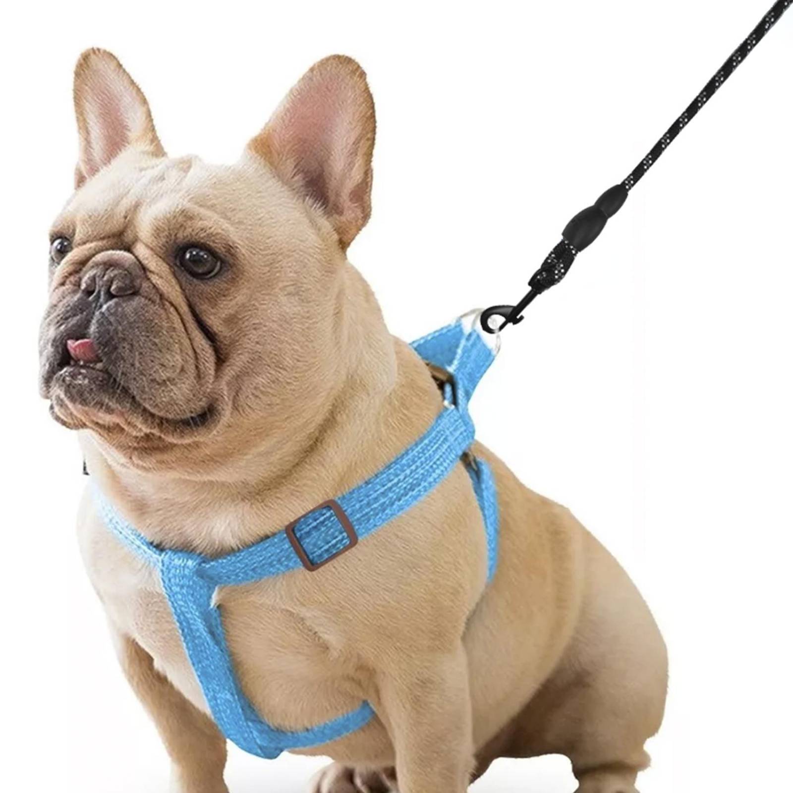 Correa para perro gato o Mascotas Corta y Gruesa 125 cm .