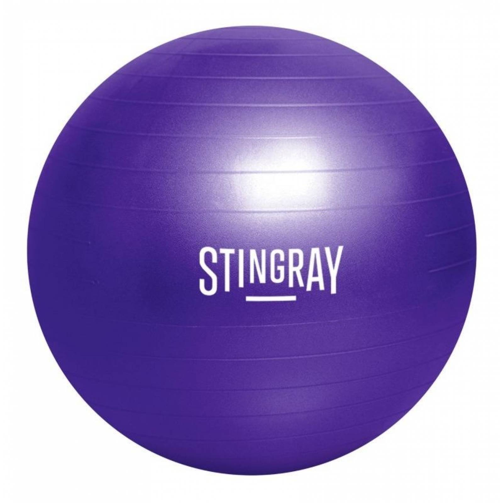 Pelota Pilates Yoga Stingray Fitness 55cm Con Bomba De Aire 